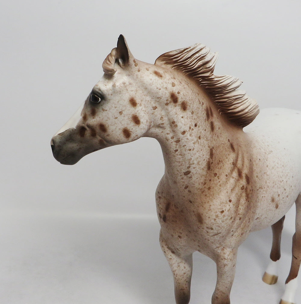 TWITTER-OOAK CHESTNUT APPALOOSA ISH BY DAWN QUICK 8/16/18