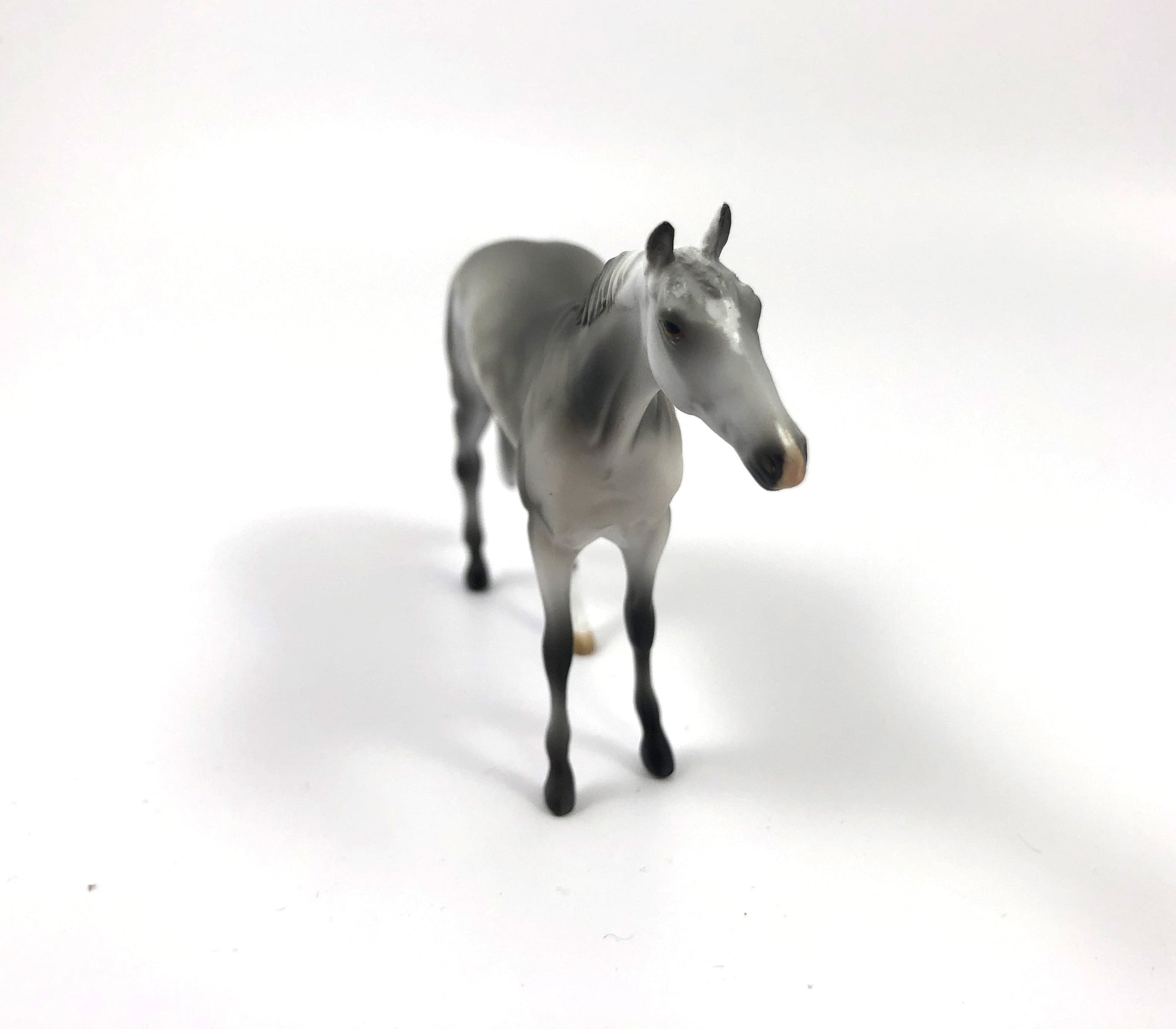 SILVER KNIGHT-OOAK DAPPLE GREY THOROUGHBRED CHIP SHCF19