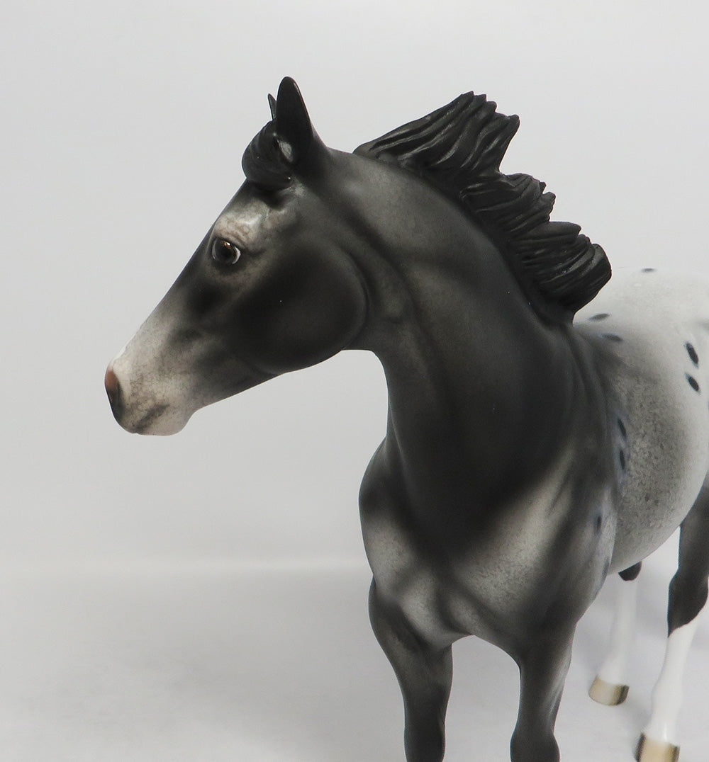 REBEL ROUSER-OOAK BLACK APPALOOSA ISH BY DAWN QUICK 8/17/18