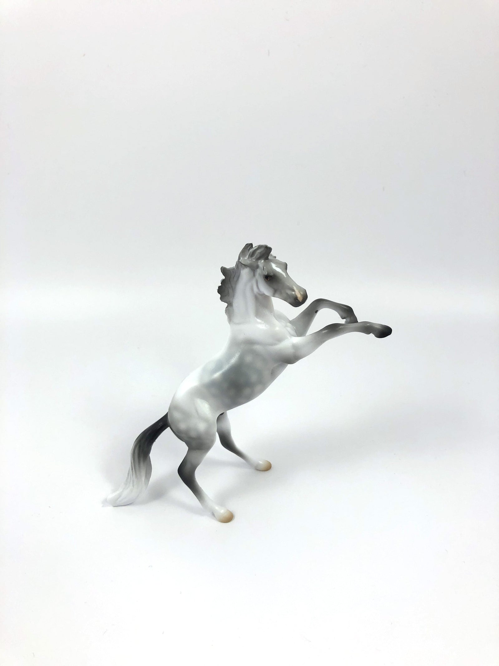 ROCKIN -OOAK DAPPLE GREY REARING CHIP MODEL HORSE SHCF19