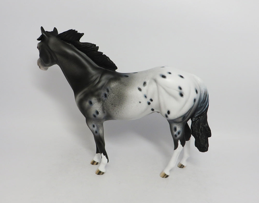 REBEL ROUSER-OOAK BLACK APPALOOSA ISH BY DAWN QUICK 8/17/18