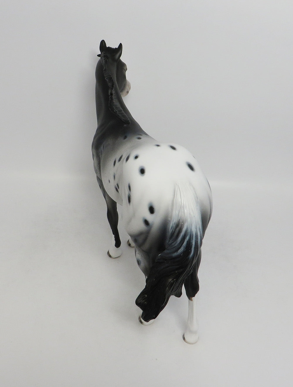 REBEL ROUSER-OOAK BLACK APPALOOSA ISH BY DAWN QUICK 8/17/18