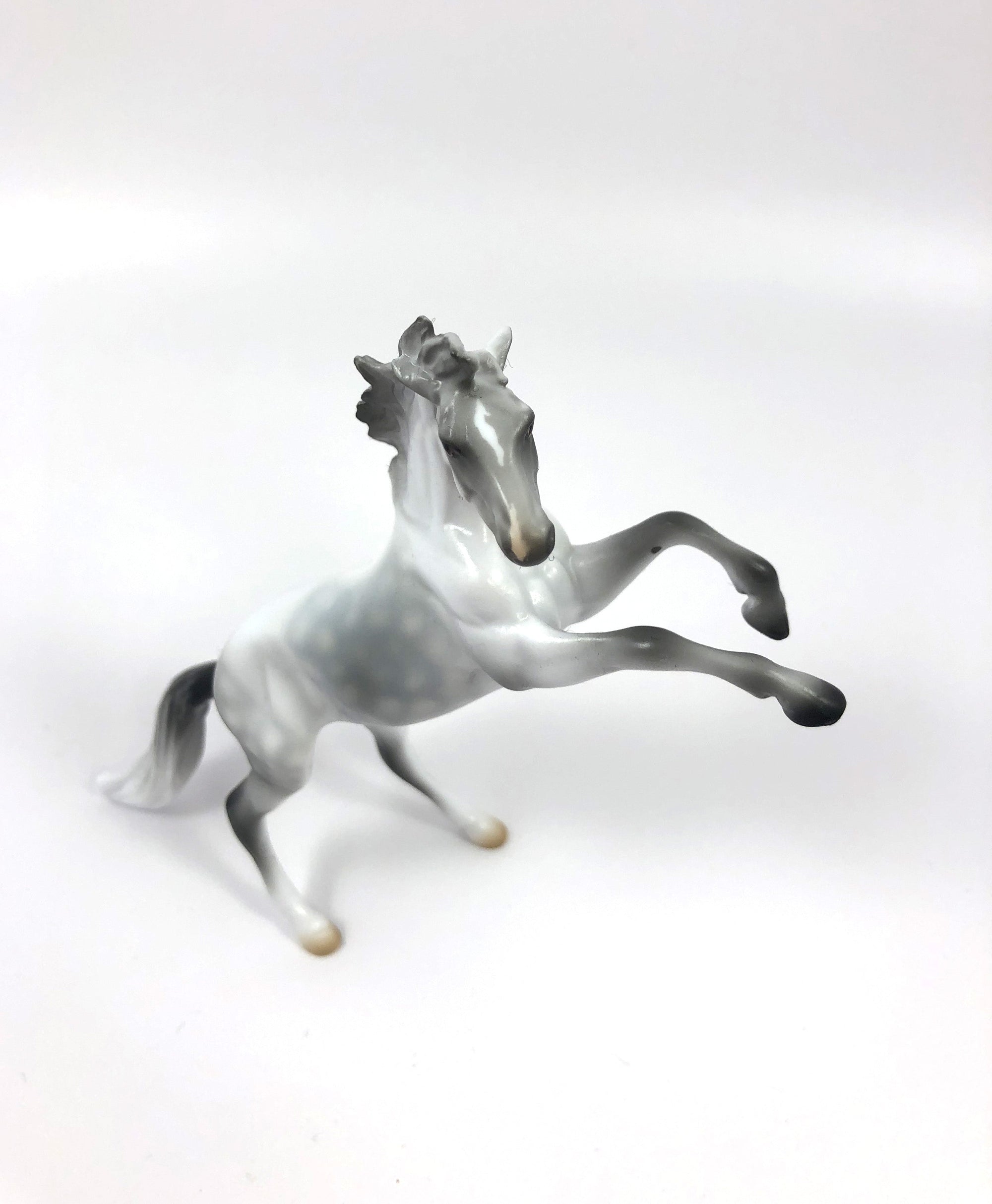 ROCKIN -OOAK DAPPLE GREY REARING CHIP MODEL HORSE SHCF19