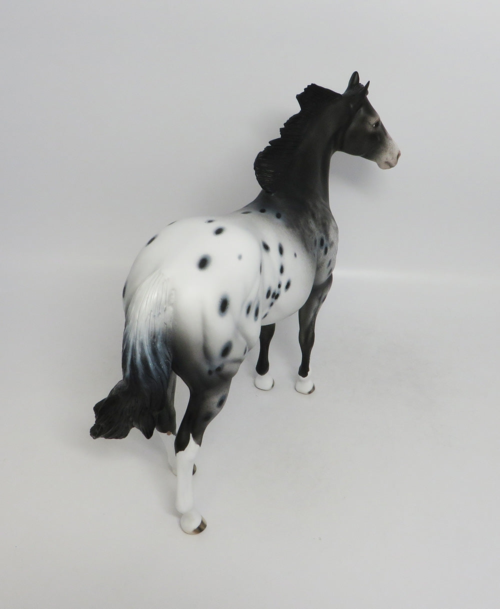 REBEL ROUSER-OOAK BLACK APPALOOSA ISH BY DAWN QUICK 8/17/18