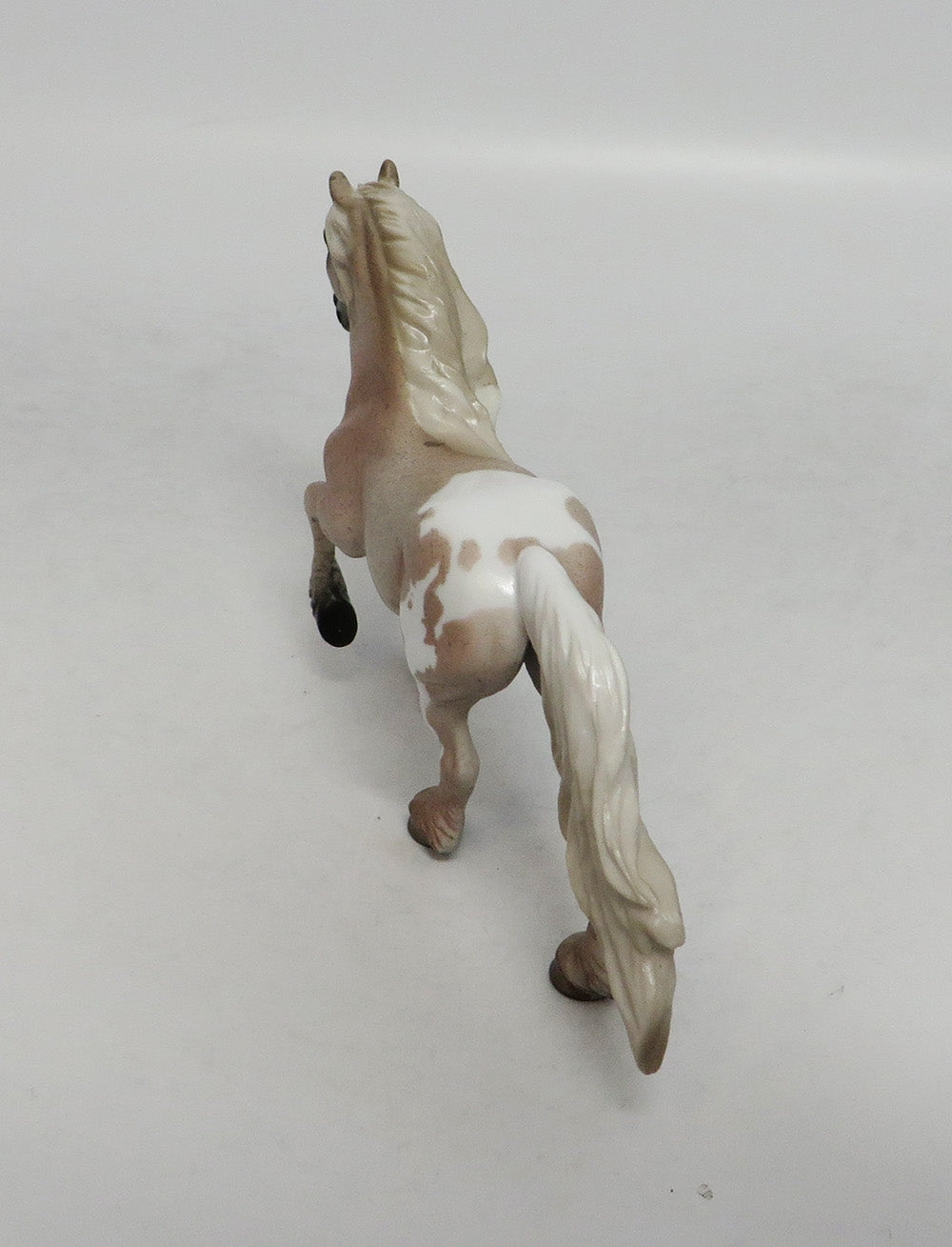 WILD EYE- LE-5 ROAN PINTO FRIESIAN CHIP LHS 2018