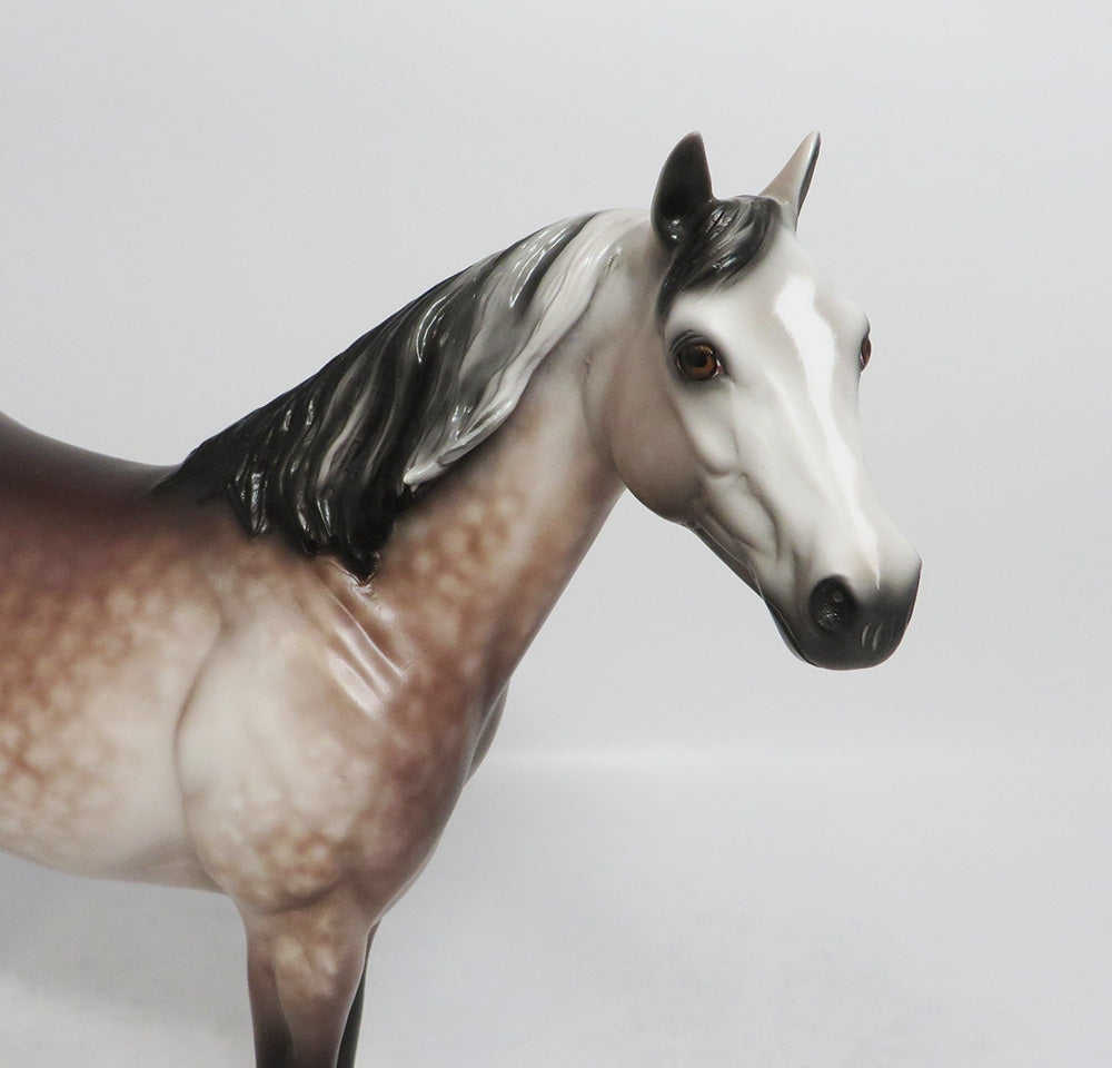 WADSWORTH-OOAK DAPPLE ROSE GREY ISH BY SHERYL LEISURE 8/17/18