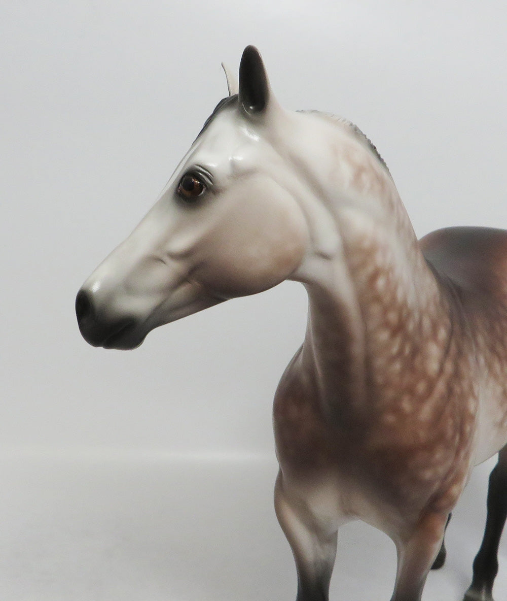 WADSWORTH-OOAK DAPPLE ROSE GREY ISH BY SHERYL LEISURE 8/17/18