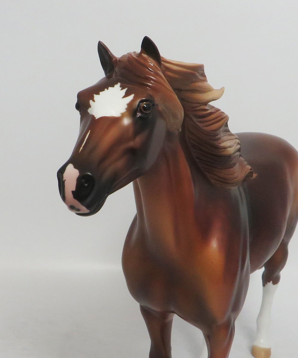 DREAM CATCHER-LE-4 CHESTNUT SPANISH MUSTANG MODEL HORSE BY AUDREY DIXON 8/17/18