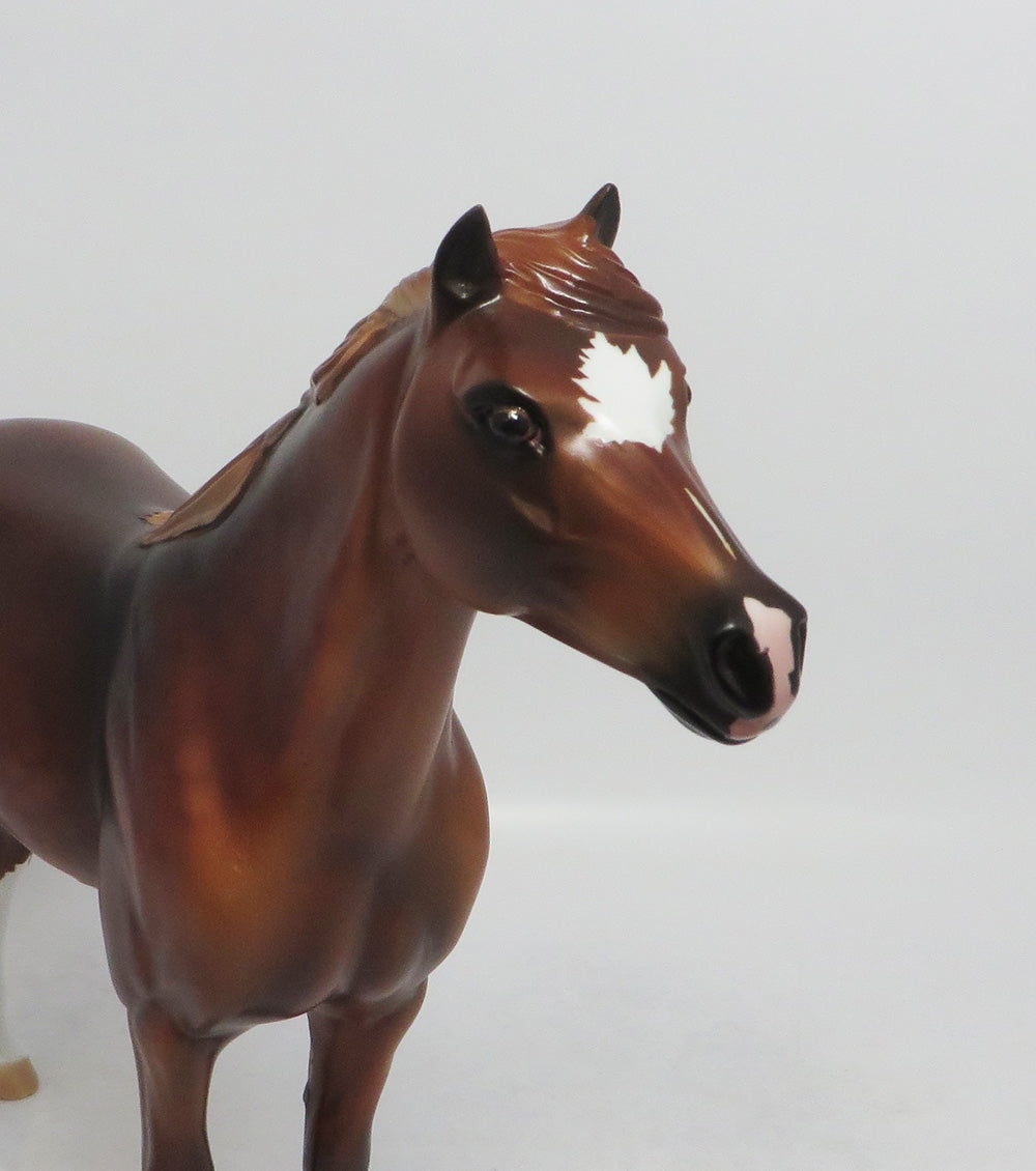 DREAM CATCHER-LE-4 CHESTNUT SPANISH MUSTANG MODEL HORSE BY AUDREY DIXON 8/17/18