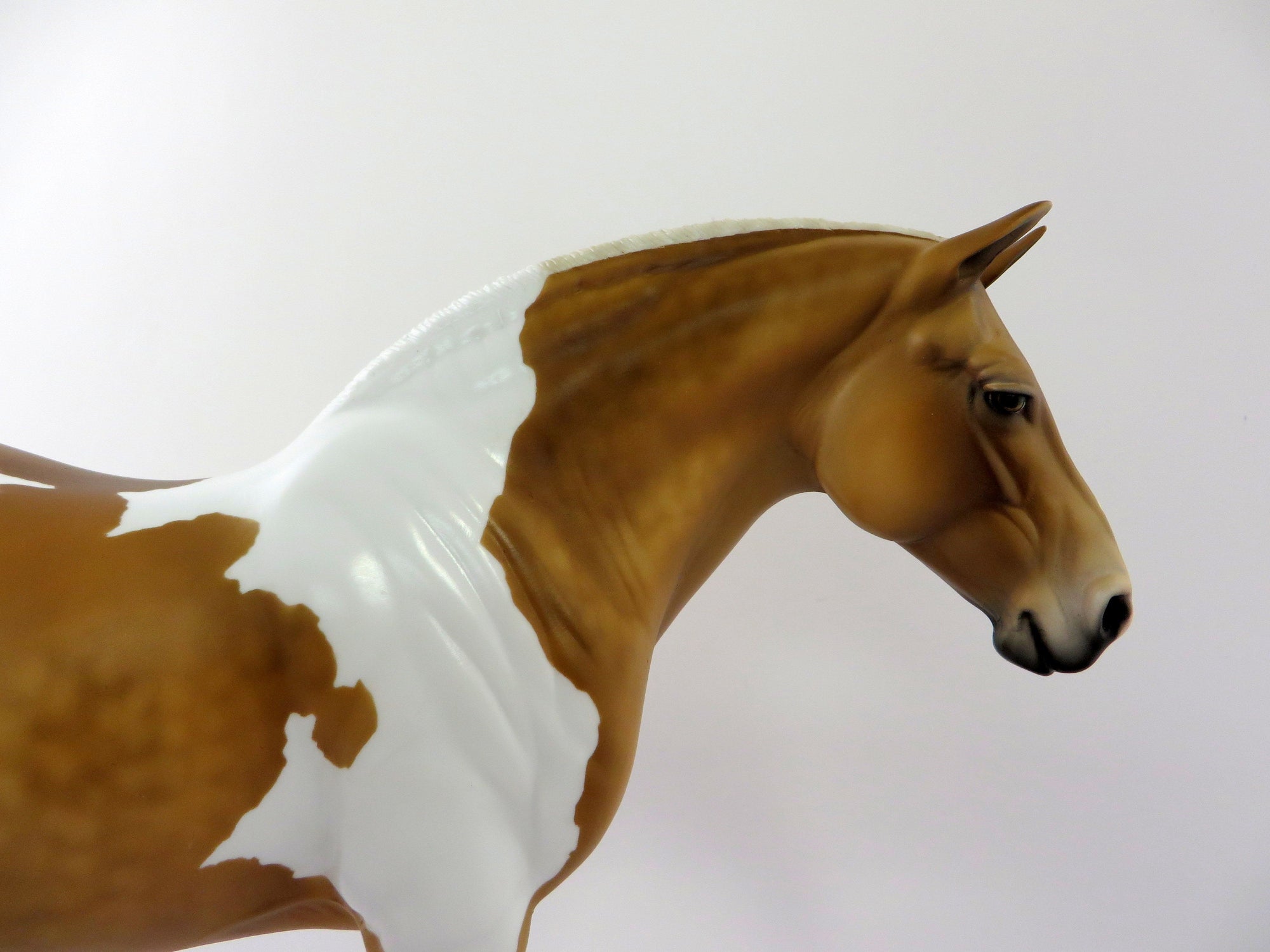 FAWNA-LE-3 DAPPLE CHESTNUT PINTO HEAVY DRAFT MARE MODEL HORSE 5/10/19