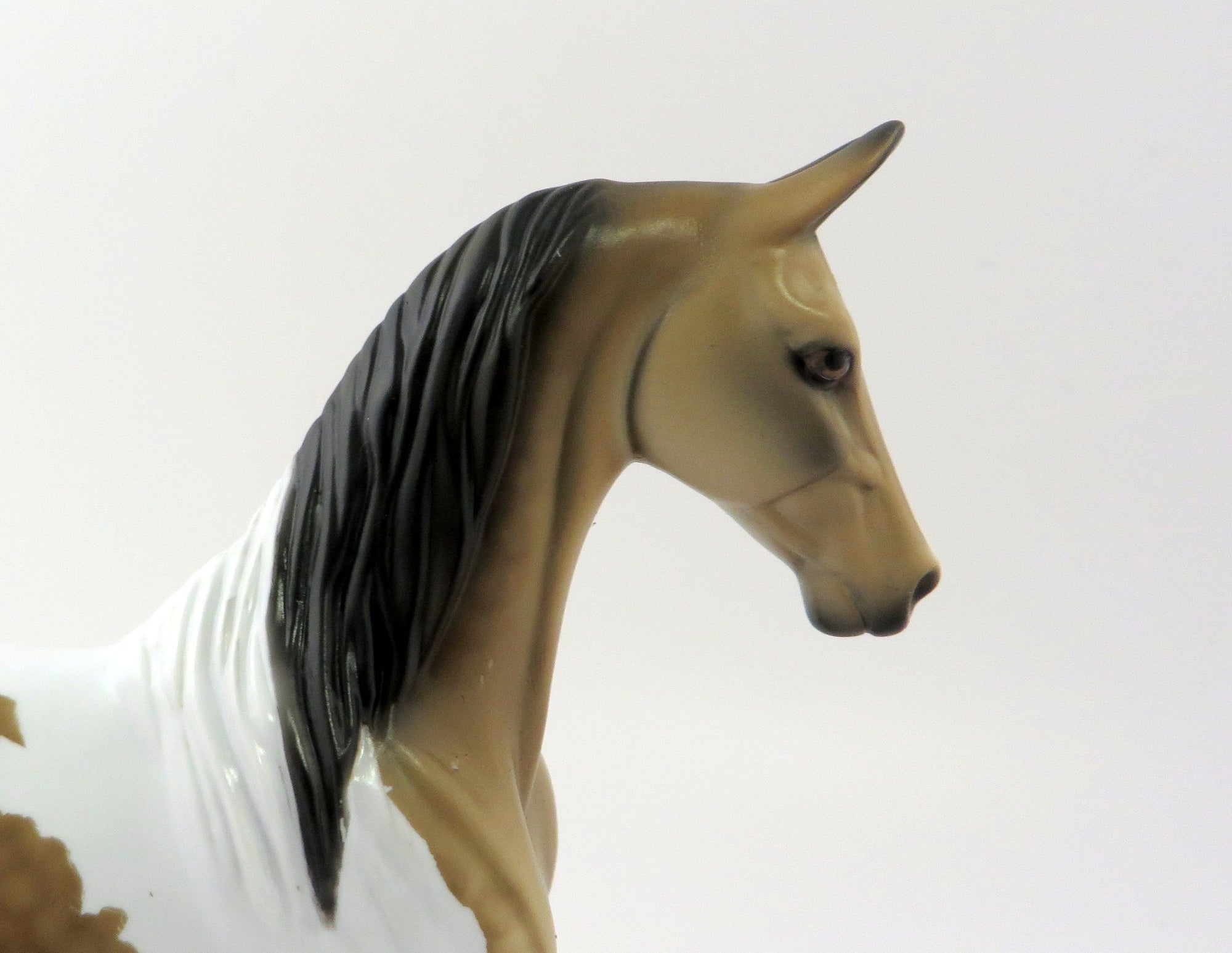 PANACHE -- LE-4 DAPPLE BUCKSKIN PINTO SADDLEBRED PEBBLES MODEL HORSE BY DAWN QUICK 5/10/19