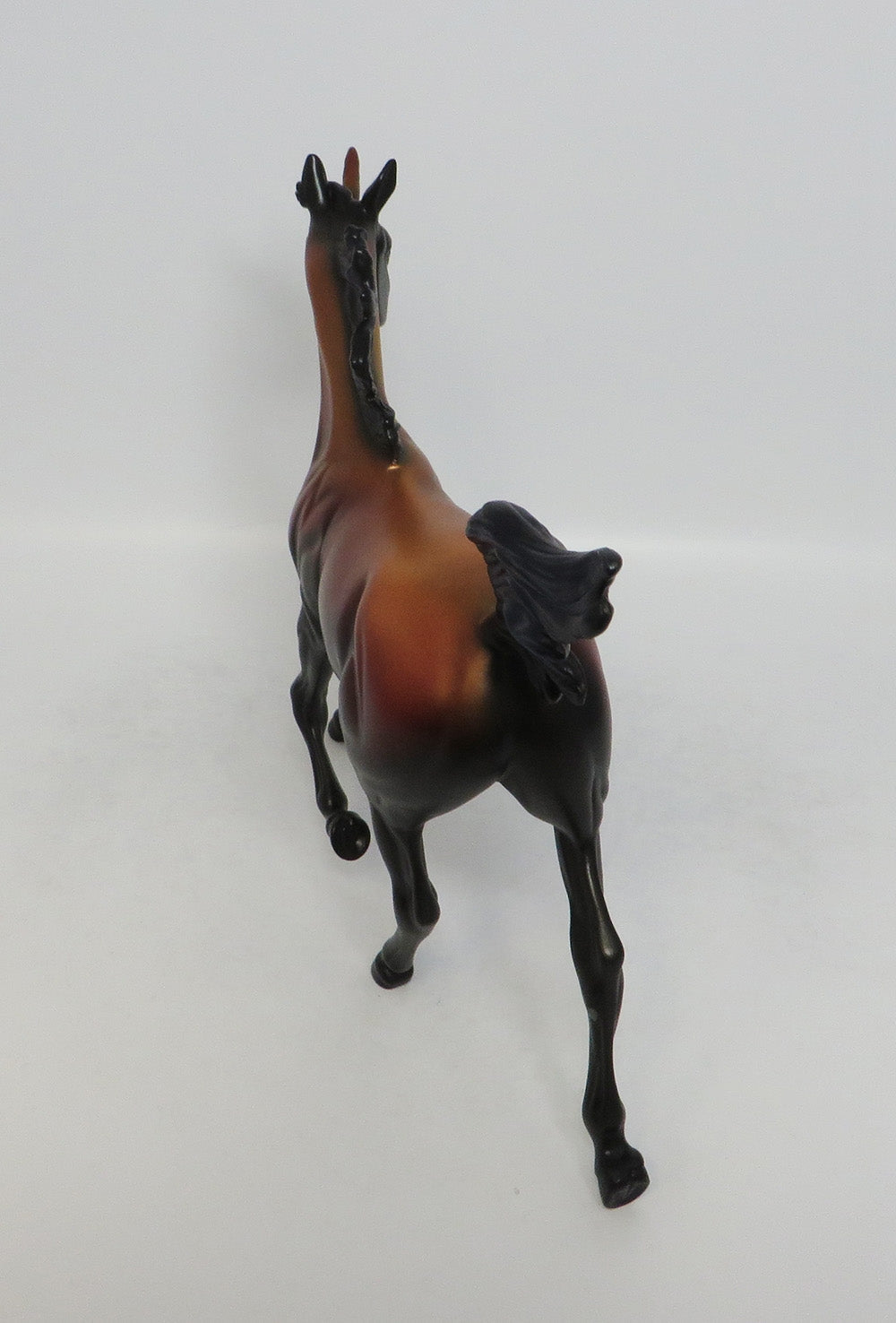 CRECENT- OOAK YEARLING DECORATOR BY AUDREY DIXON LHS 2018