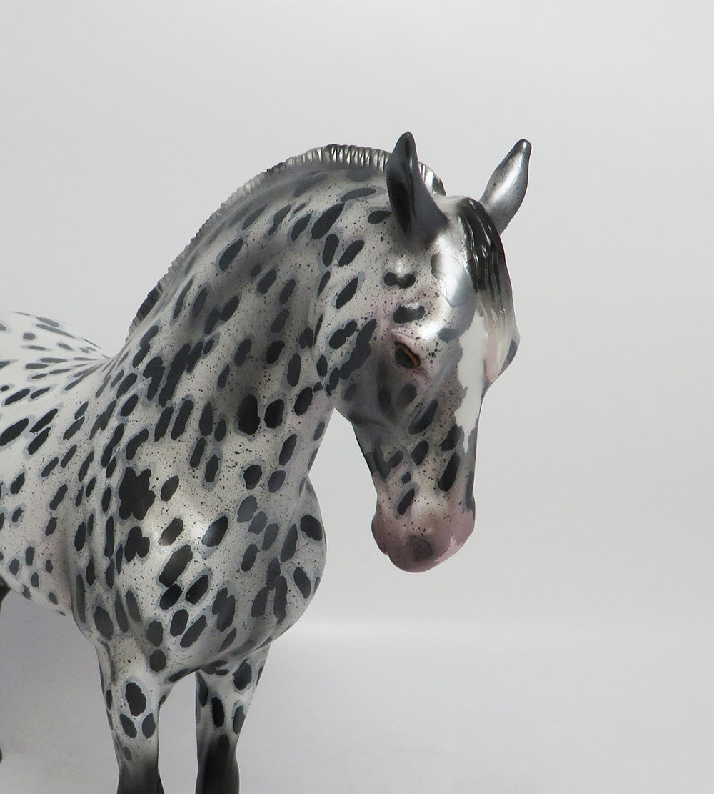 appaloosa