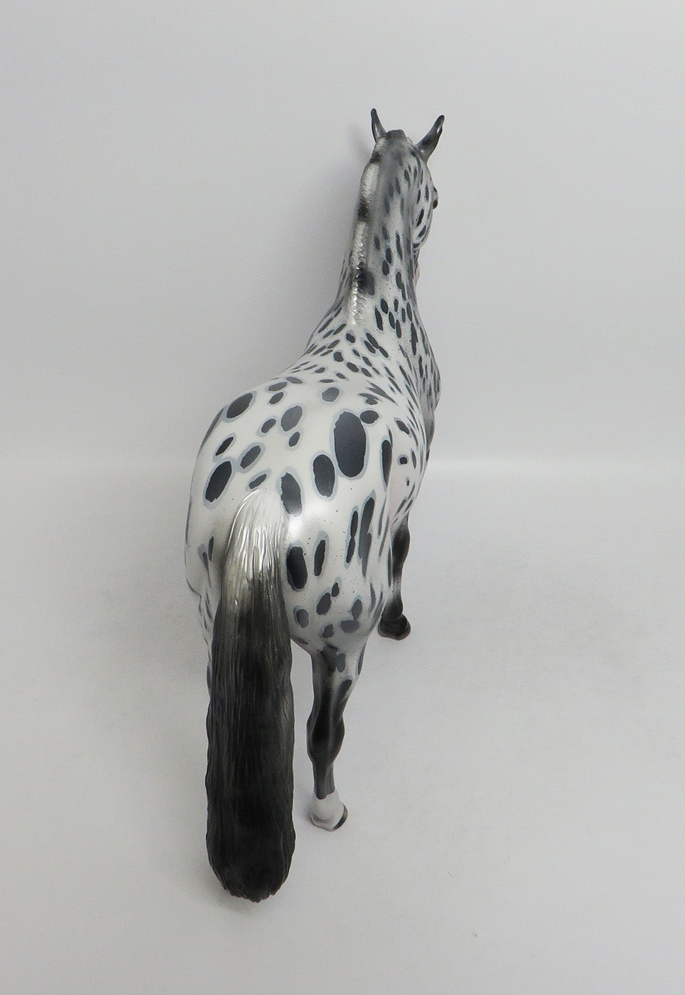 ELECTRA-OOAK LOUD APPALOOSA ANDALUSIAN MODEL HORSE BY AUDREY DIXON 8/24/18
