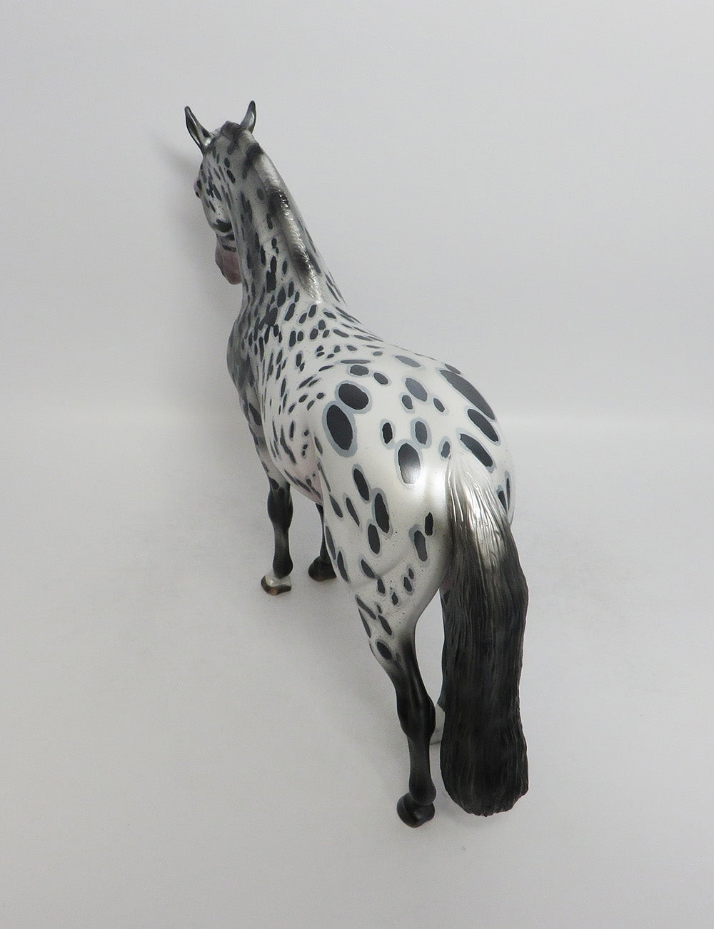 ELECTRA-OOAK LOUD APPALOOSA ANDALUSIAN MODEL HORSE BY AUDREY DIXON 8/24/18