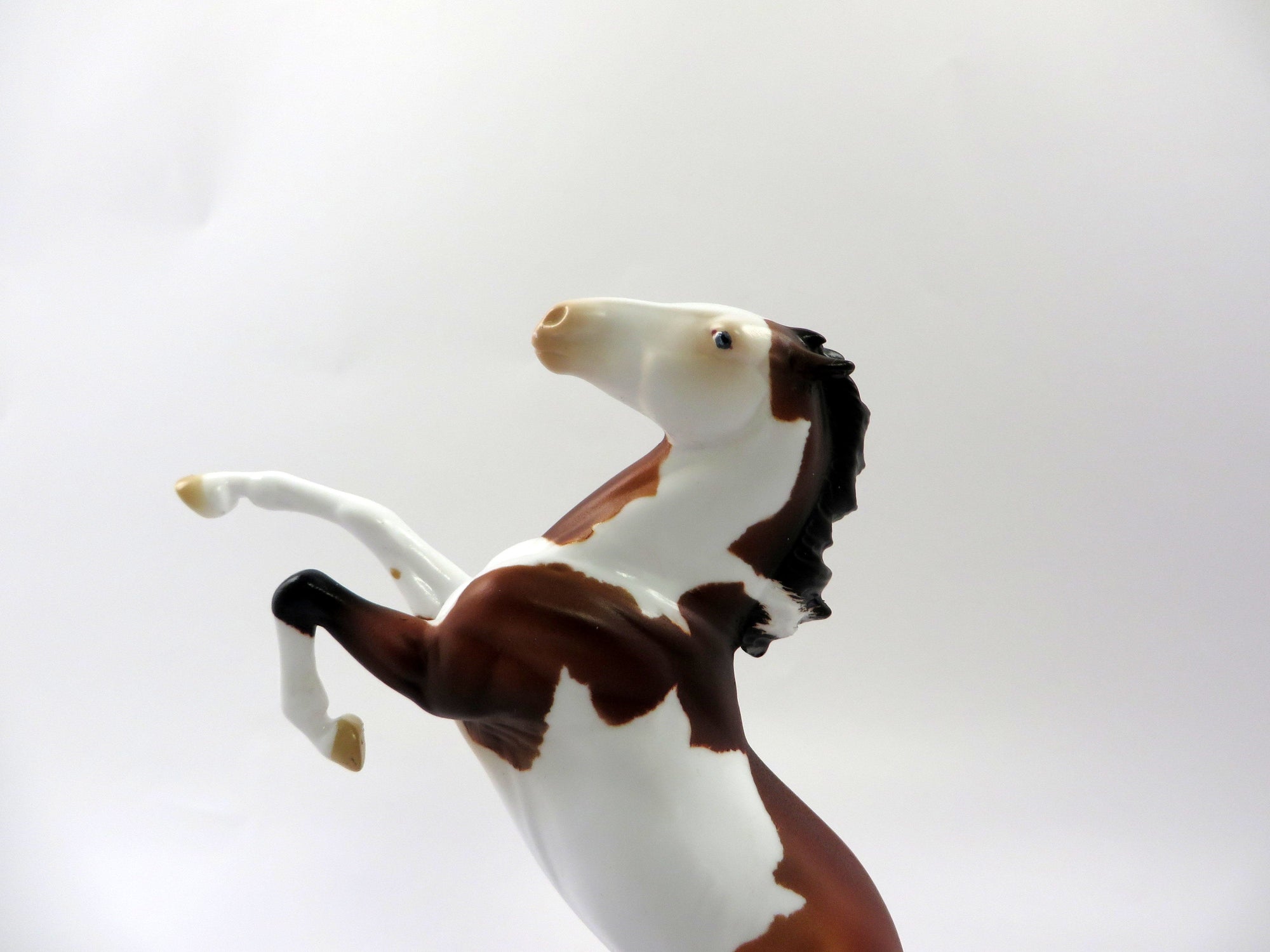 CRIPPLE CREEK-OOAK BAY PINTO REARING PEBBLE MODEL HORSE 5/10/19