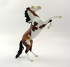 CRIPPLE CREEK-OOAK BAY PINTO REARING PEBBLE MODEL HORSE 5/10/19