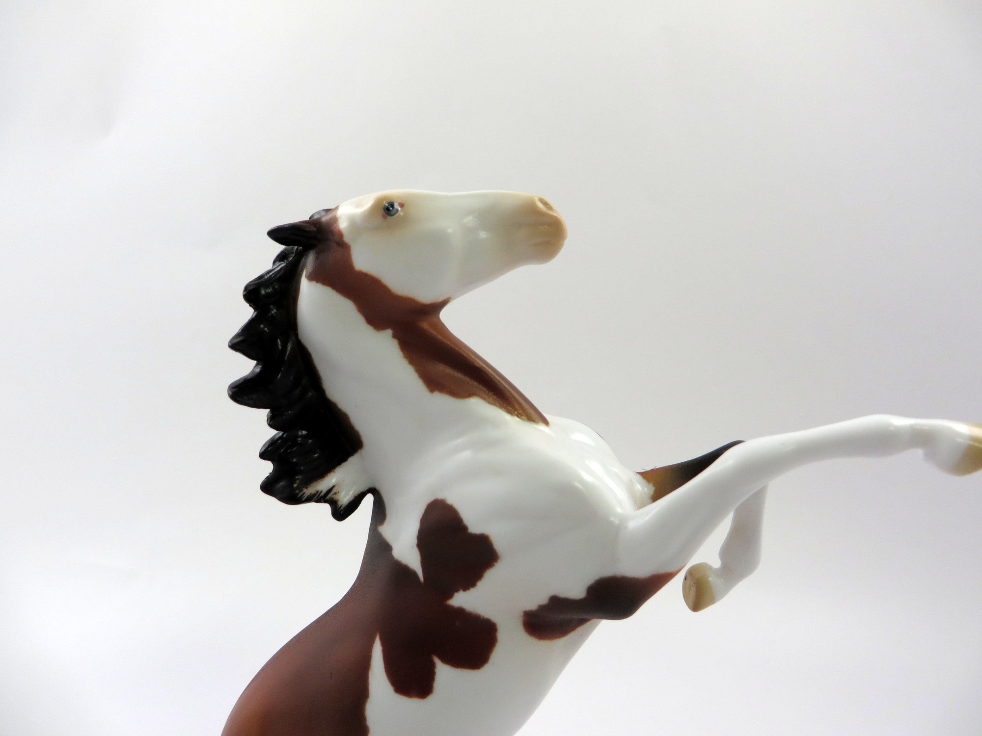 CRIPPLE CREEK-OOAK BAY PINTO REARING PEBBLE MODEL HORSE 5/10/19