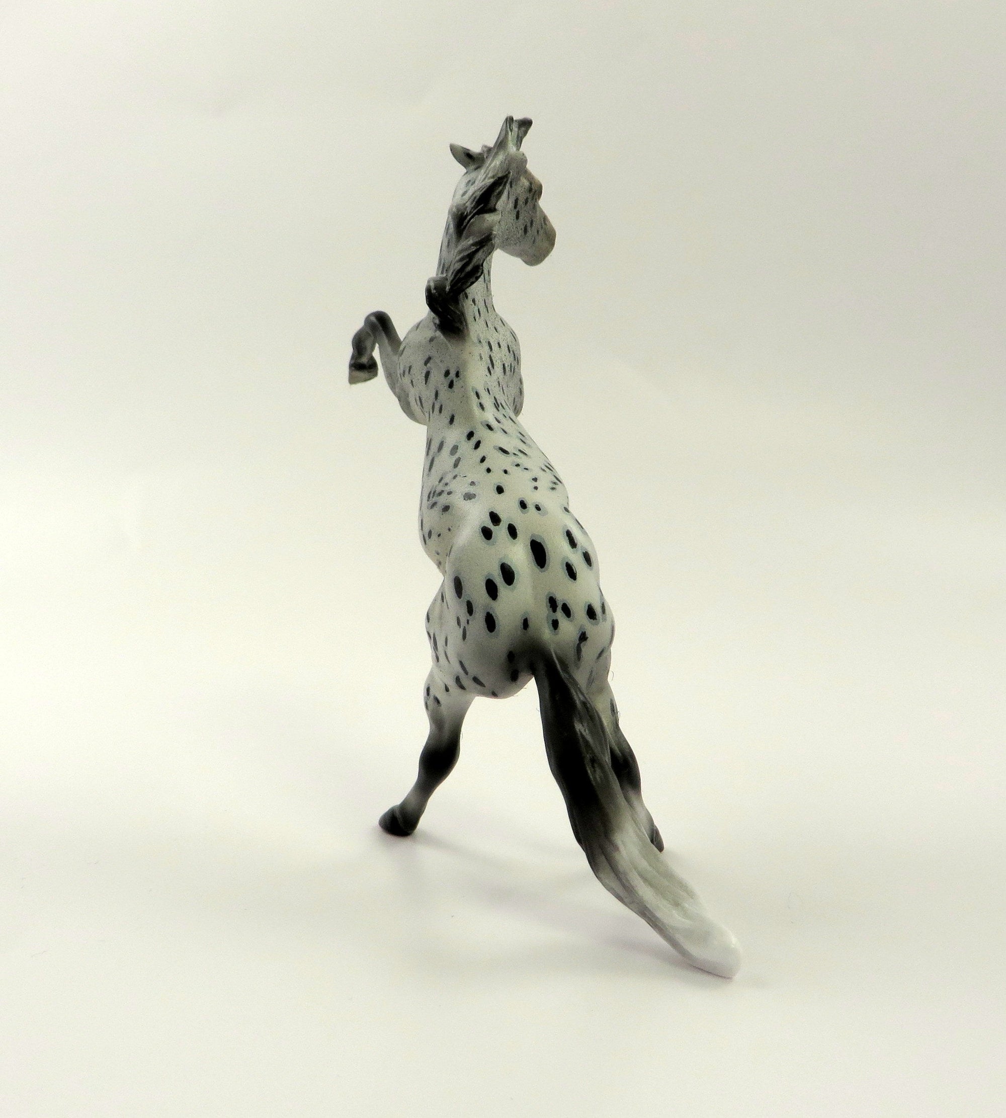 TWILIGHT&#39;S RIVER-OOAK LOUD APPALOOSA REARING CHIP 5/10/19