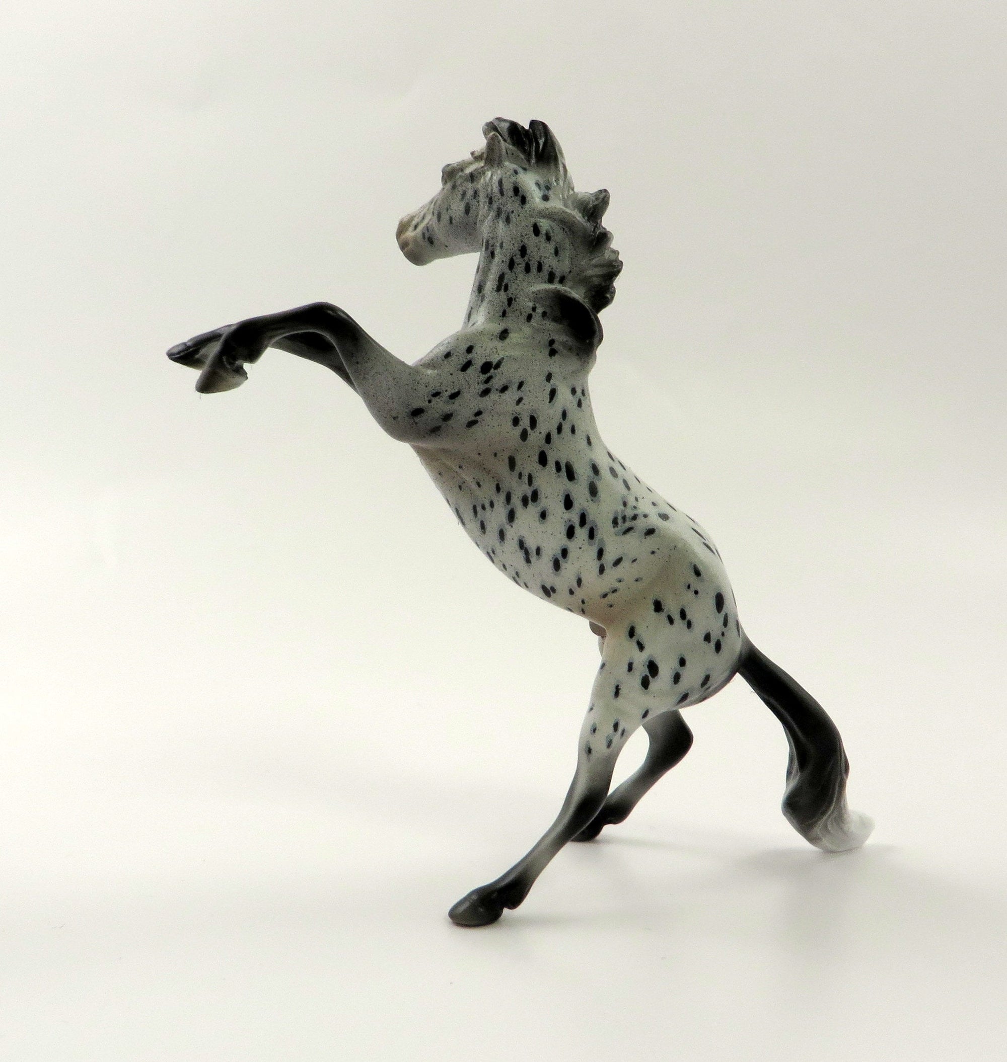 TWILIGHT&#39;S RIVER-OOAK LOUD APPALOOSA REARING CHIP 5/10/19