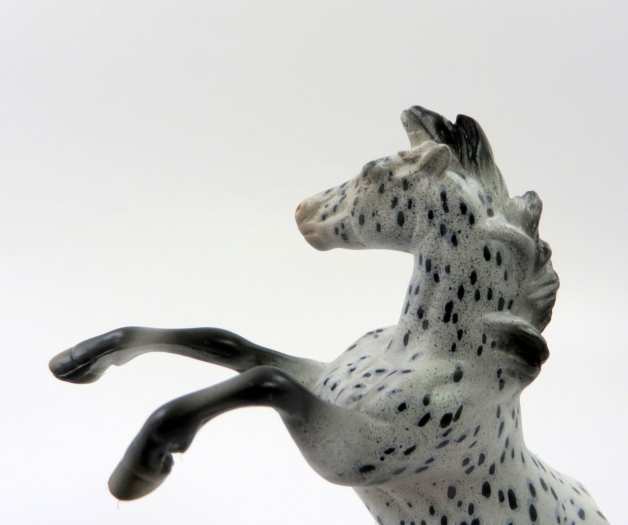 TWILIGHT&#39;S RIVER-OOAK LOUD APPALOOSA REARING CHIP 5/10/19