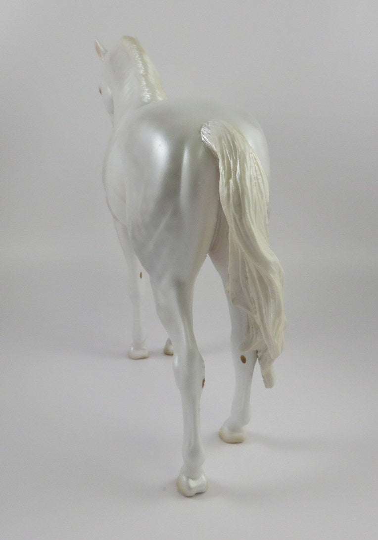 OH MY-LE-10 DAPPLE WHITE ANDALUSIAN LHS 2019