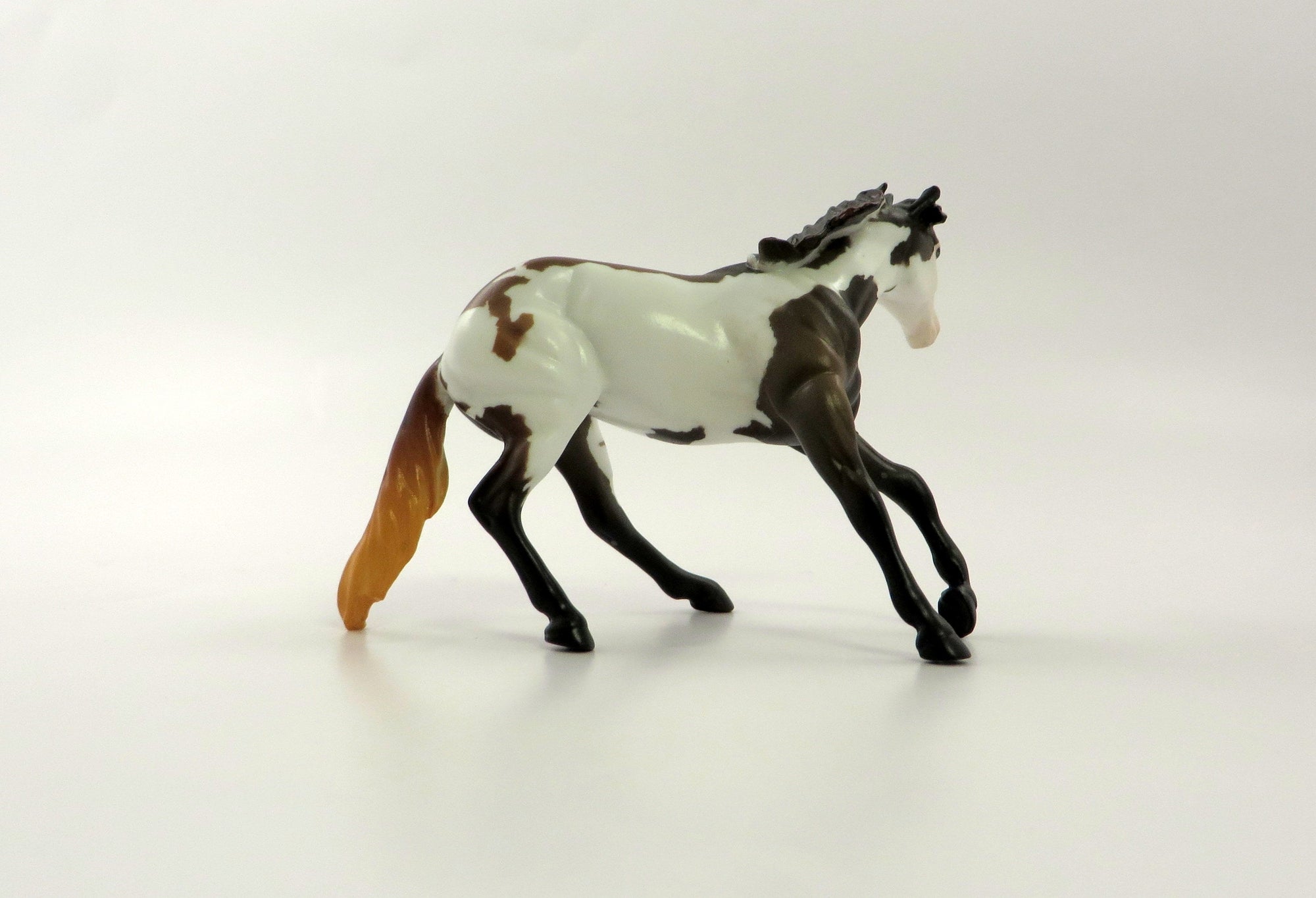 SIMON AND GARFUNKEL-OOAK BAY PINTO AND CALF CUTTER CHIP 5/10/19