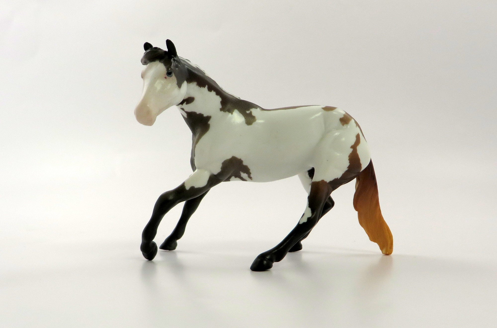 SIMON AND GARFUNKEL-OOAK BAY PINTO AND CALF CUTTER CHIP 5/10/19