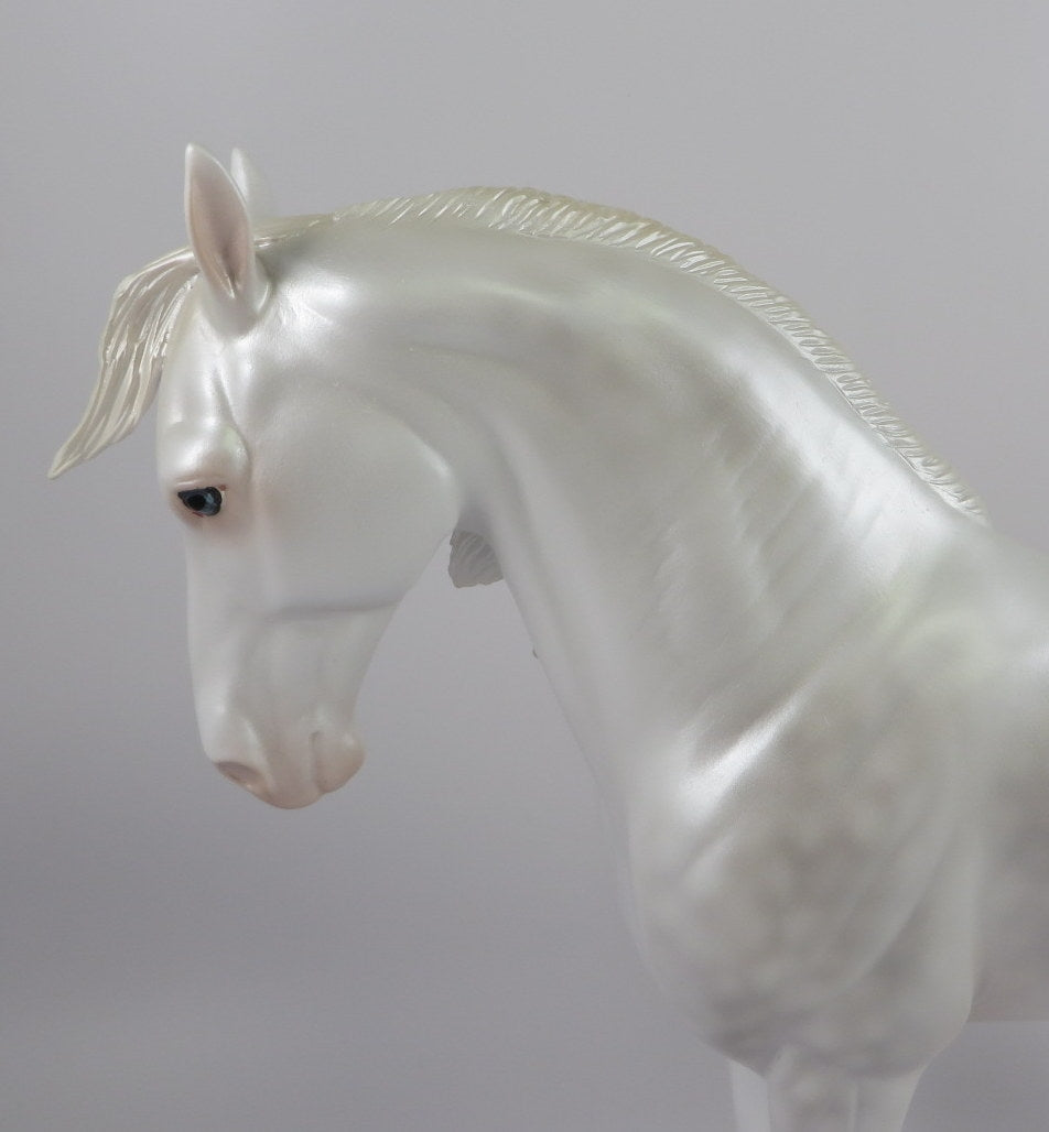 OH MY-LE-10 DAPPLE WHITE ANDALUSIAN LHS 2019