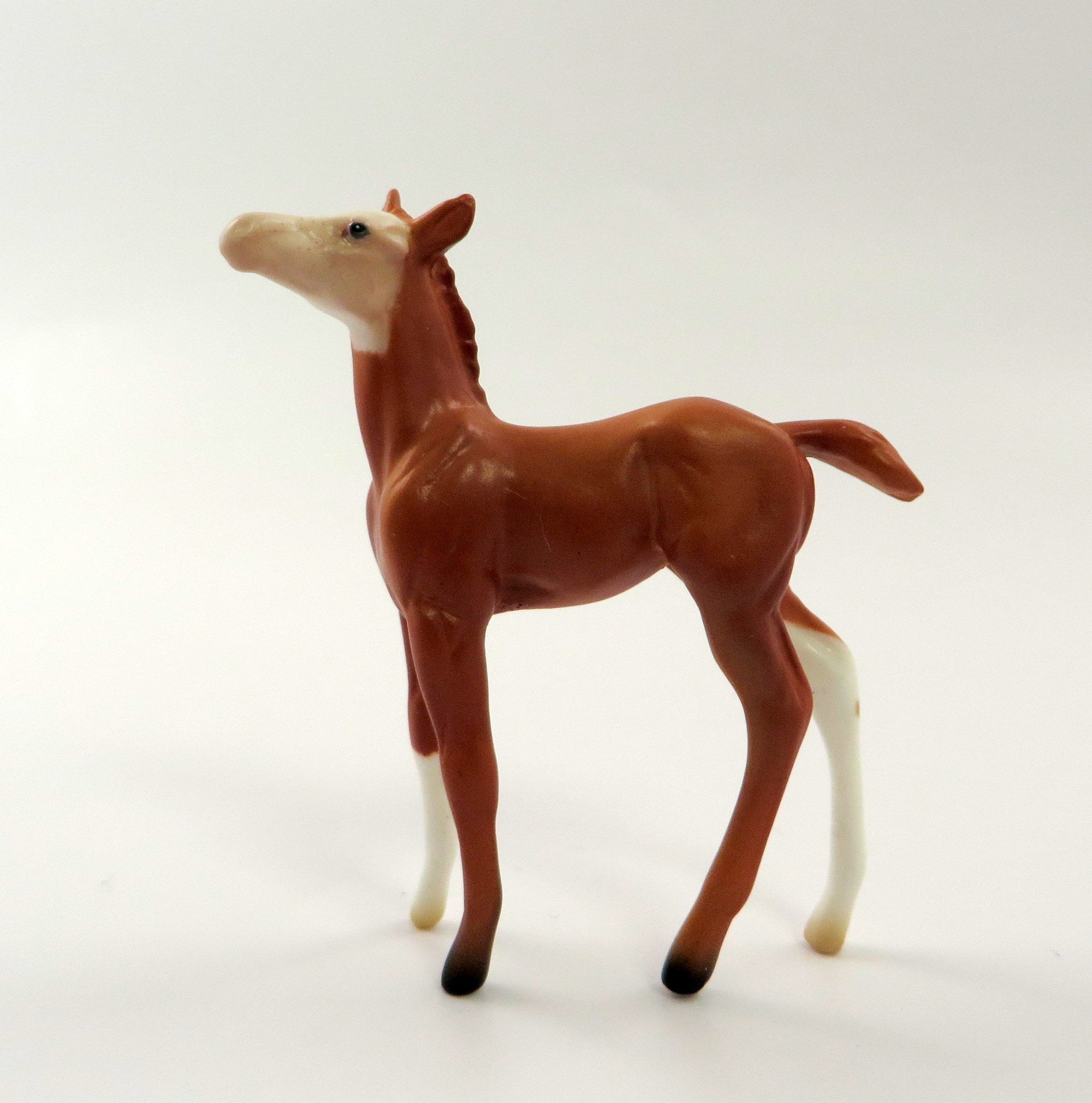 SWANKY-OOAK-- CHESTNUT FOAL CHIP BY AMANDA HOSTETLER 5/10/19