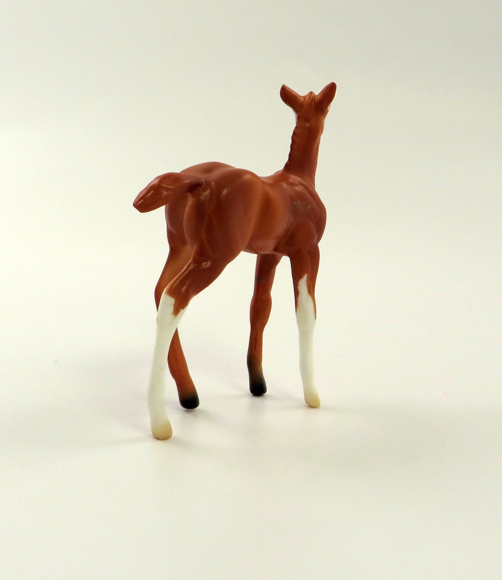 SWANKY-OOAK-- CHESTNUT FOAL CHIP BY AMANDA HOSTETLER 5/10/19
