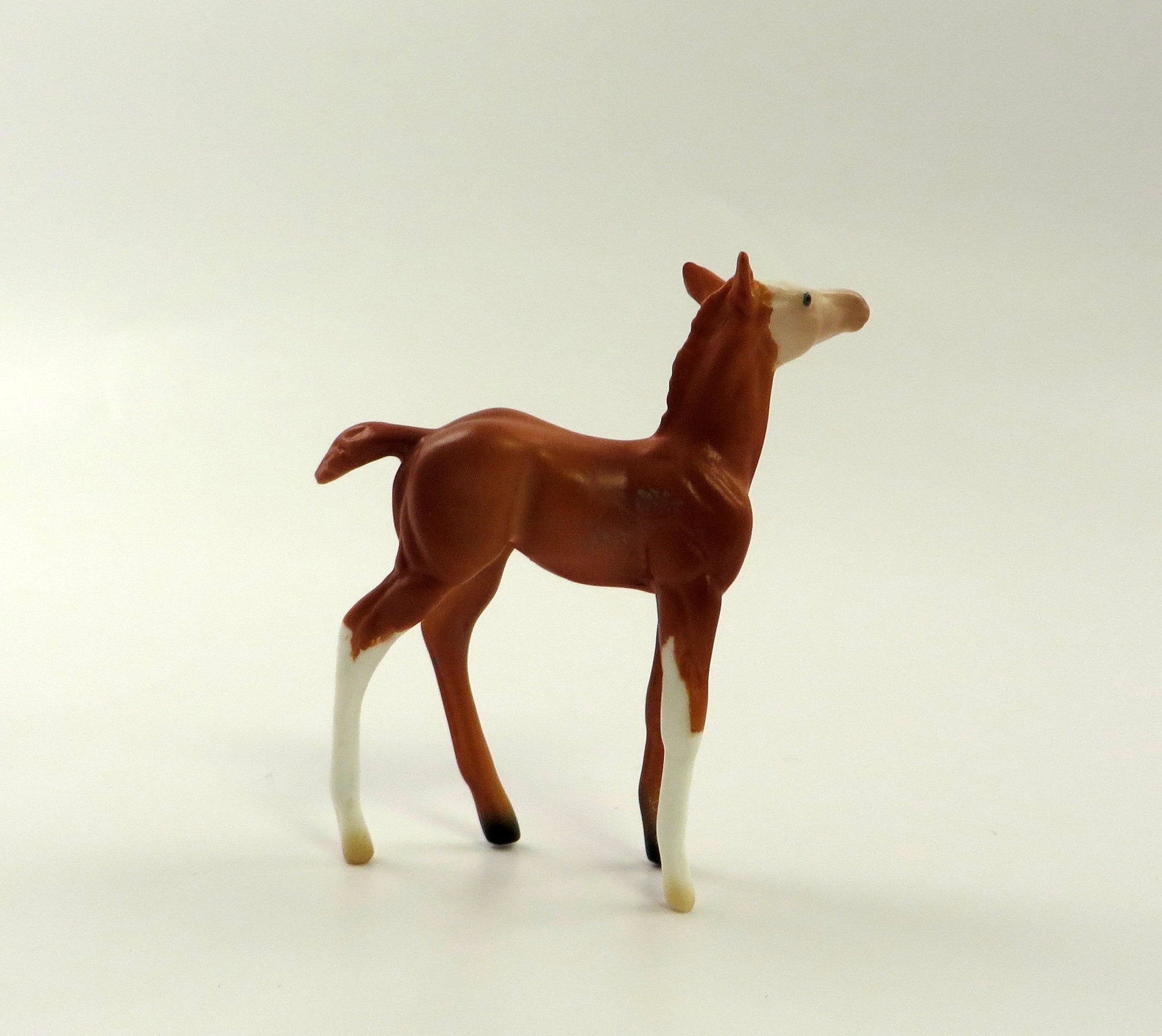 SWANKY-OOAK-- CHESTNUT FOAL CHIP BY AMANDA HOSTETLER 5/10/19