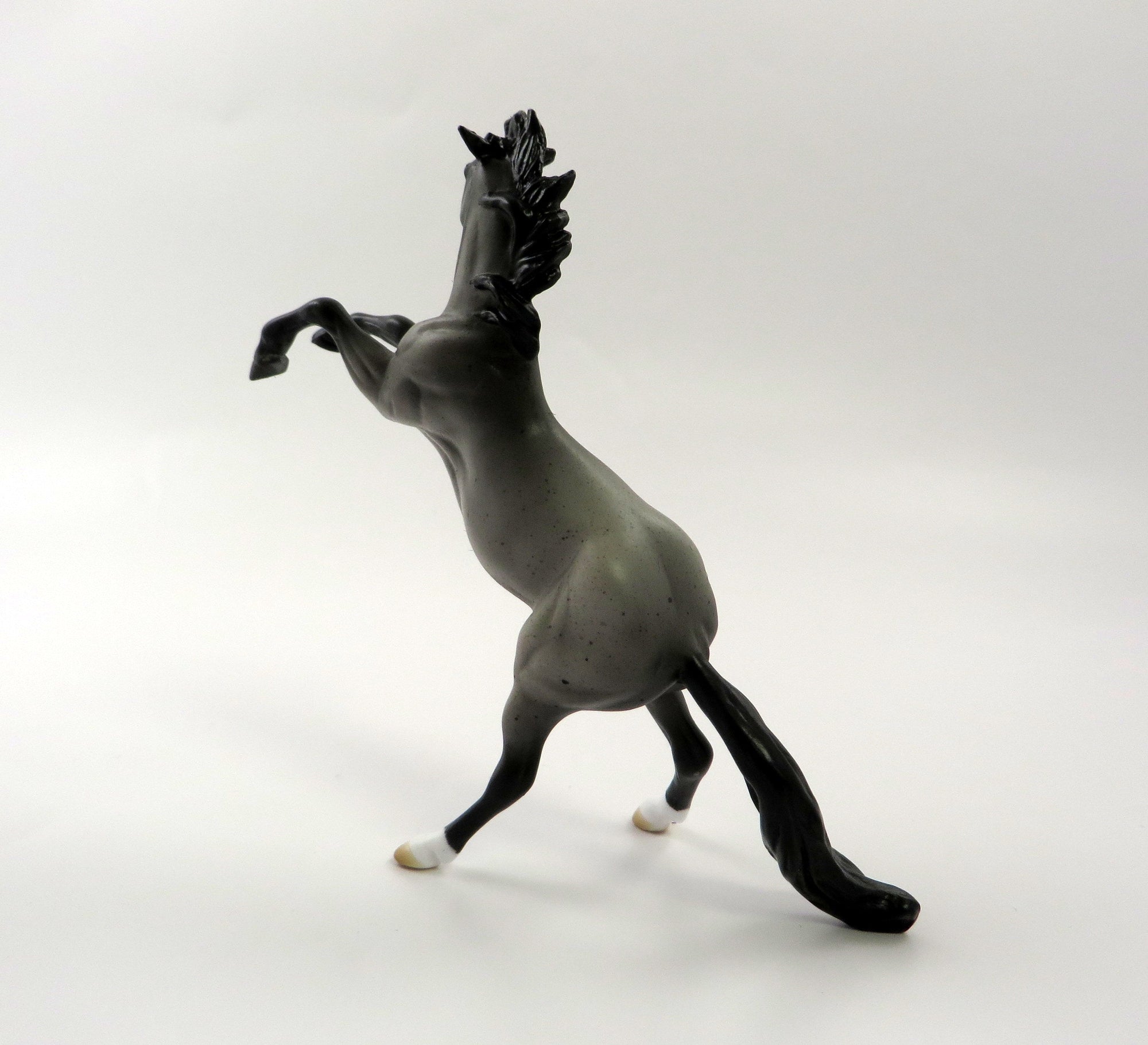 SPRING SOLO-OOAK BLUE ROAN REARING CHIP BY AUDREY DIXON 5/10/19