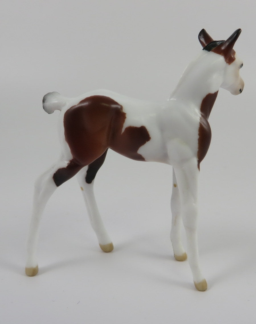 TOM THUMB-LE-10 PINTO FOAL CHIP LHS 2019