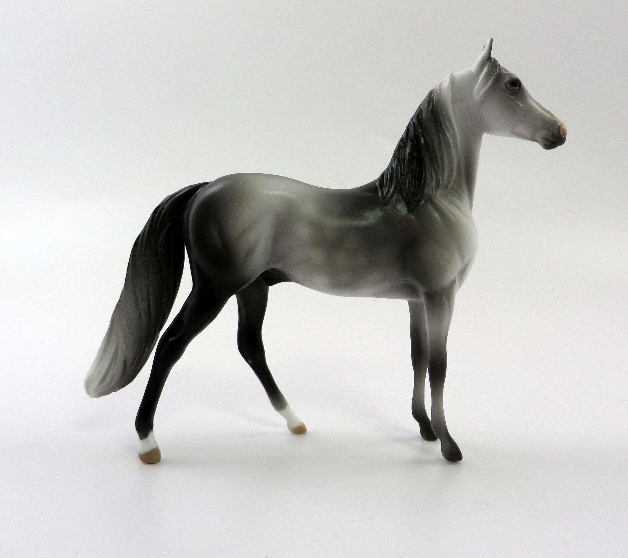 WADMAL -- OOAK DAPPLE GREY MORGAN  CHIP BY AUDREY DIXON SHCF 19