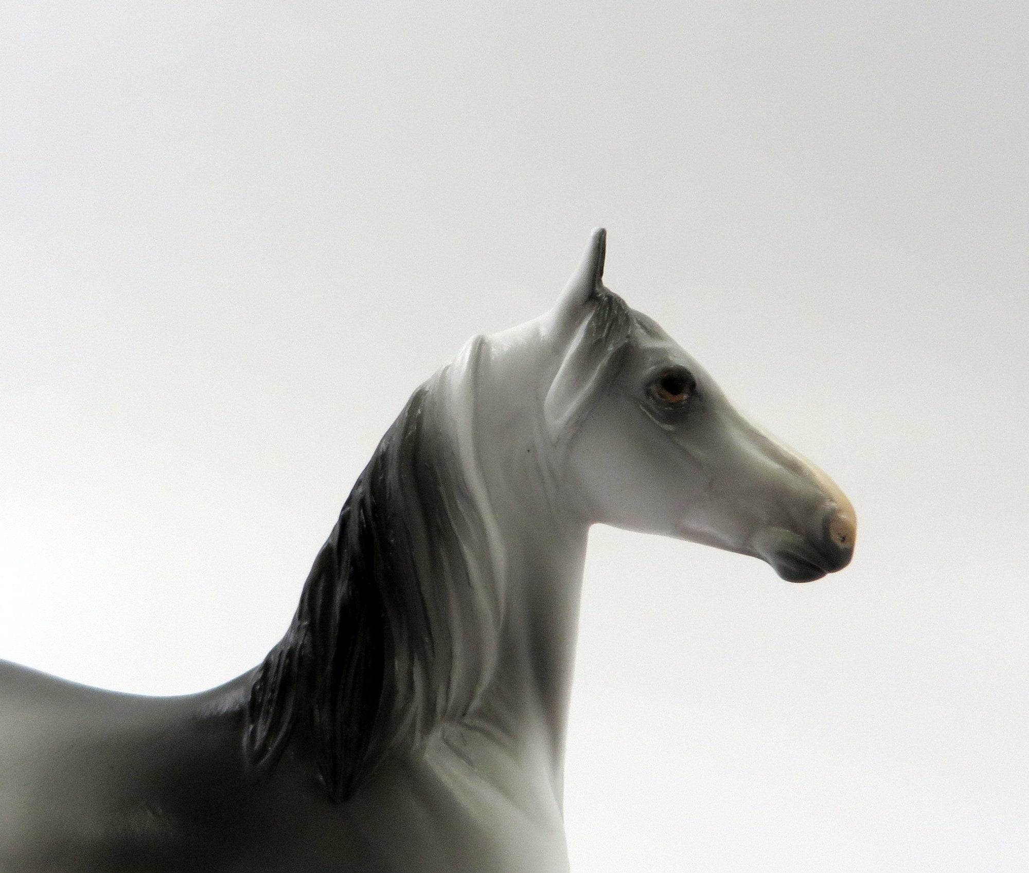 WADMAL -- OOAK DAPPLE GREY MORGAN  CHIP BY AUDREY DIXON SHCF 19