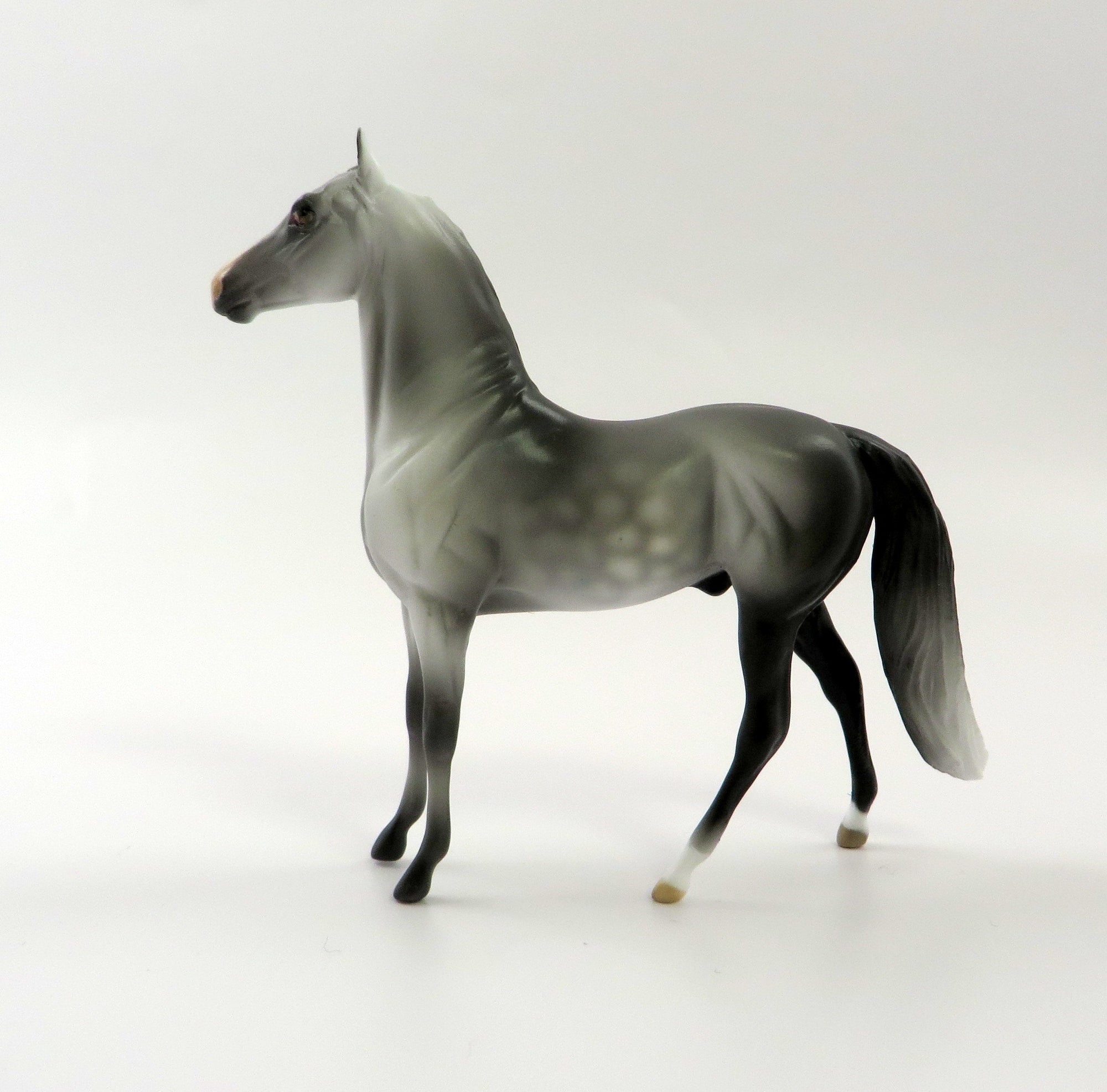 WADMAL -- OOAK DAPPLE GREY MORGAN  CHIP BY AUDREY DIXON SHCF 19