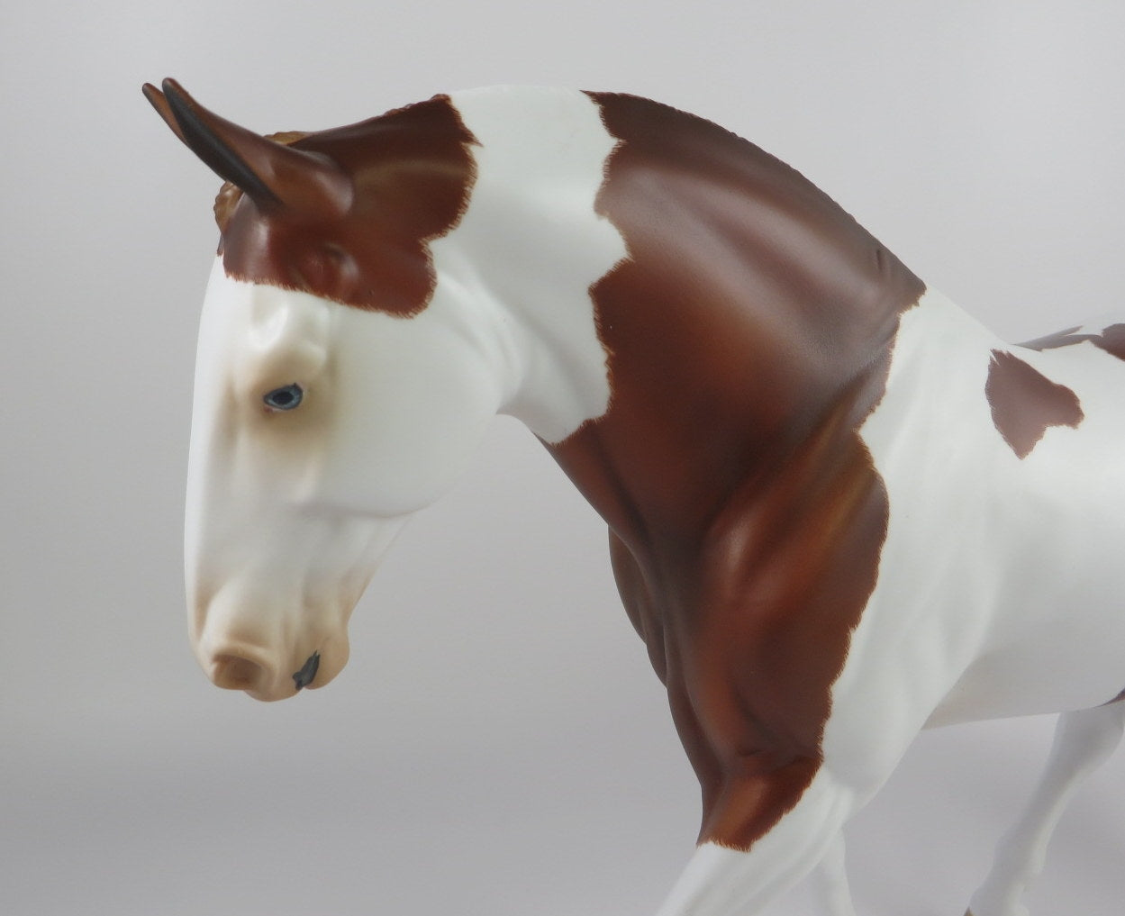 JULES LEOTARD - OOAK ETCHED CHESTNUT PINTO IRISH DRAFT MODEL HORSE BY AUDREY DIXON 9/17/19