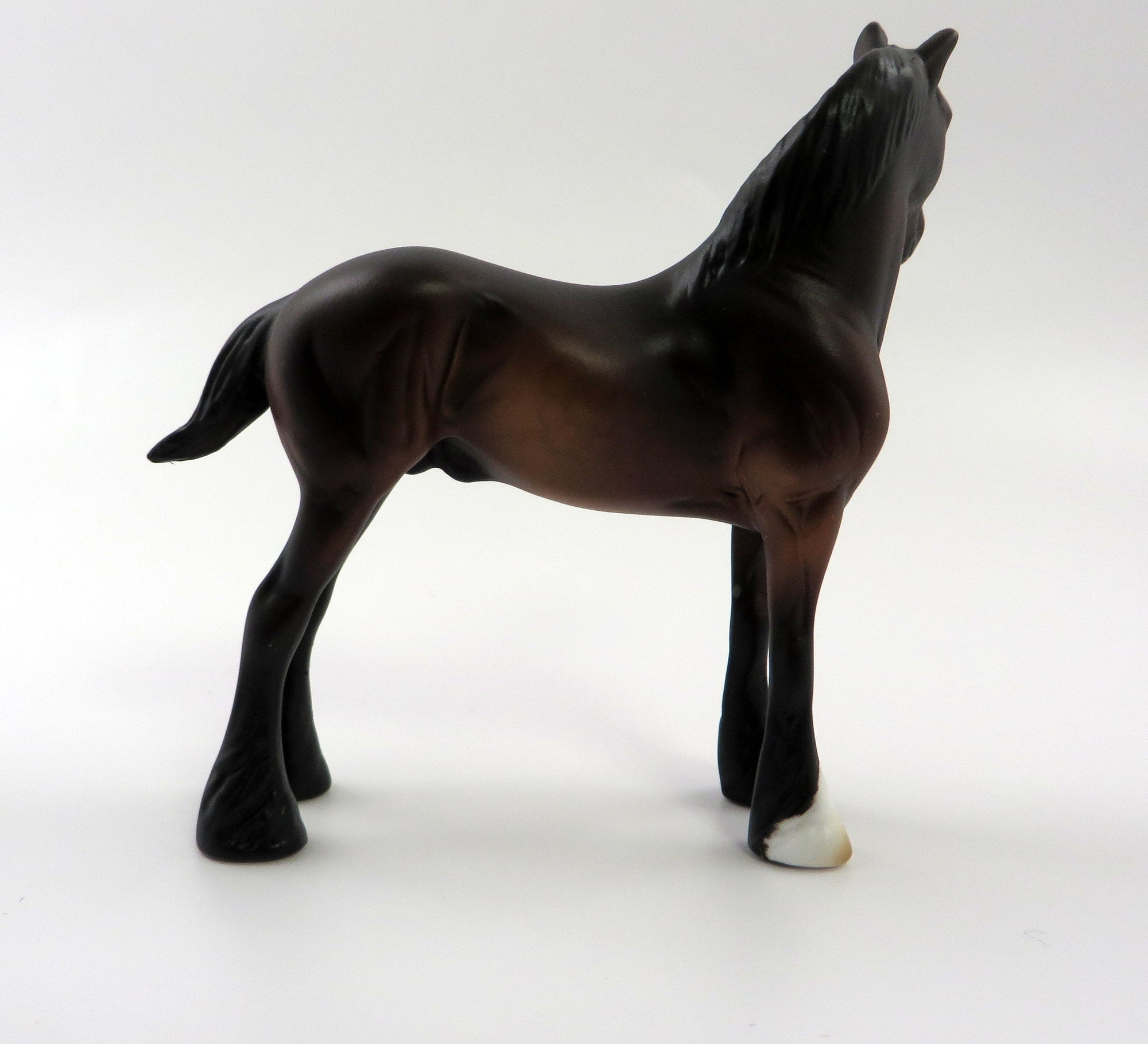 FREE VERSE-LE-5 DAPPLED SEAL BAY CM STANDING DRAFT BY MISSY FOX 5/10/19