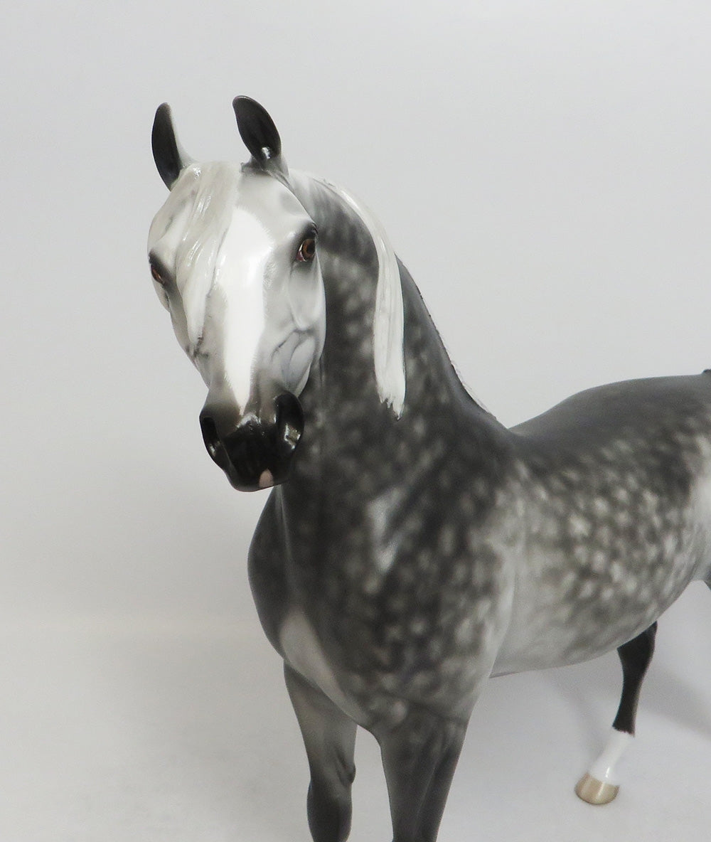 WILLY NILLY-OOAK STAR DAPPLE GREY ARABIAN MODEL HORSE 9/7/18