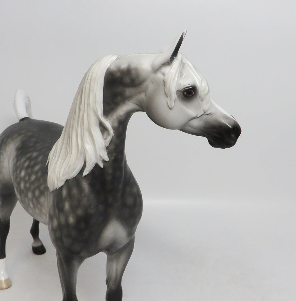 WILLY NILLY-OOAK STAR DAPPLE GREY ARABIAN MODEL HORSE 9/7/18