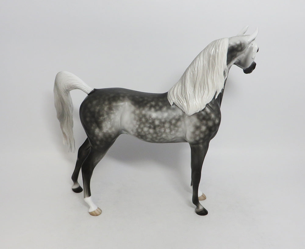 WILLY NILLY-OOAK STAR DAPPLE GREY ARABIAN MODEL HORSE 9/7/18