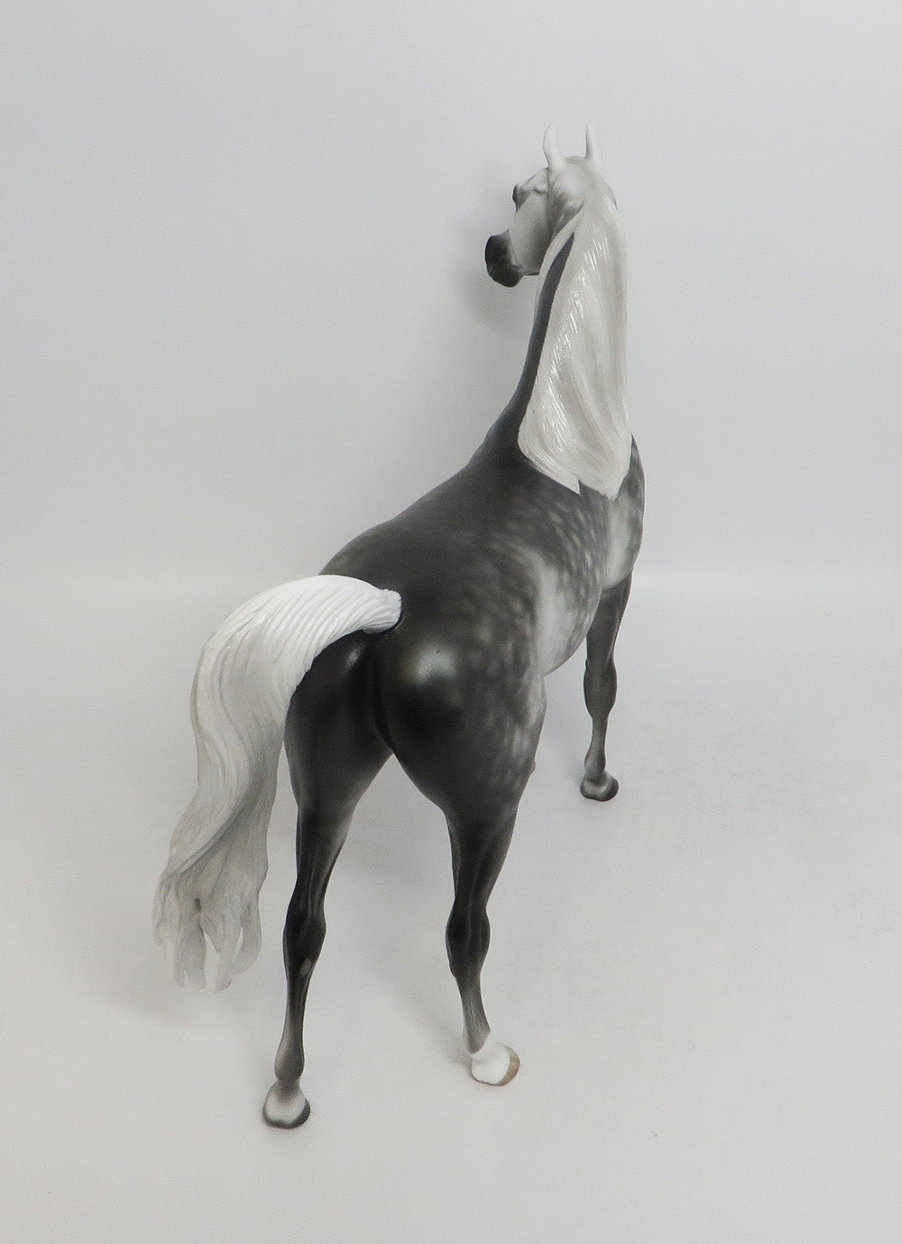 WILLY NILLY-OOAK STAR DAPPLE GREY ARABIAN MODEL HORSE 9/7/18