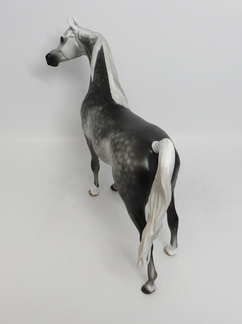 WILLY NILLY-OOAK STAR DAPPLE GREY ARABIAN MODEL HORSE 9/7/18