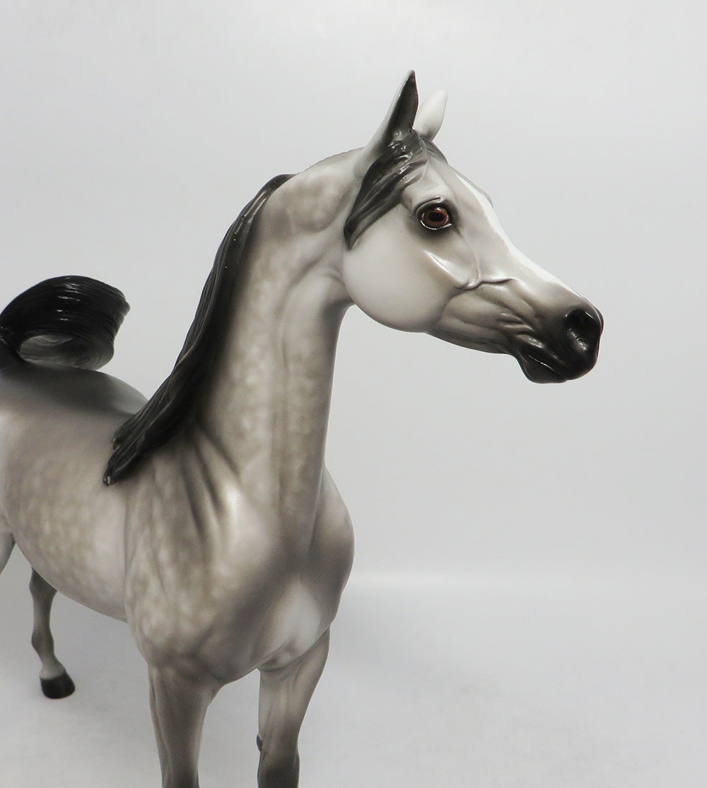 BOOGIE WOOGIE-OOAK DAPPLE GREY ARABIAN MODEL HORSE 8/24/18