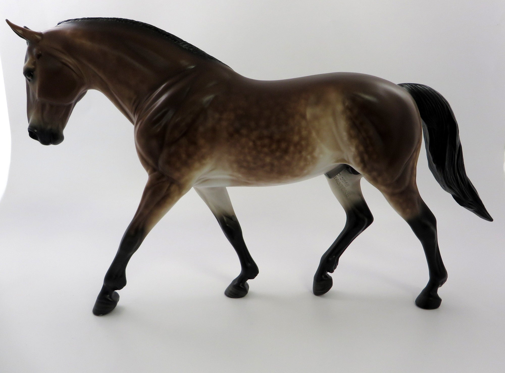 DONUT PARTY-OOAK MEALY STAR DAPPLE BAY IRISH DRAFT BY SHERYL LEISURE SHCF 19