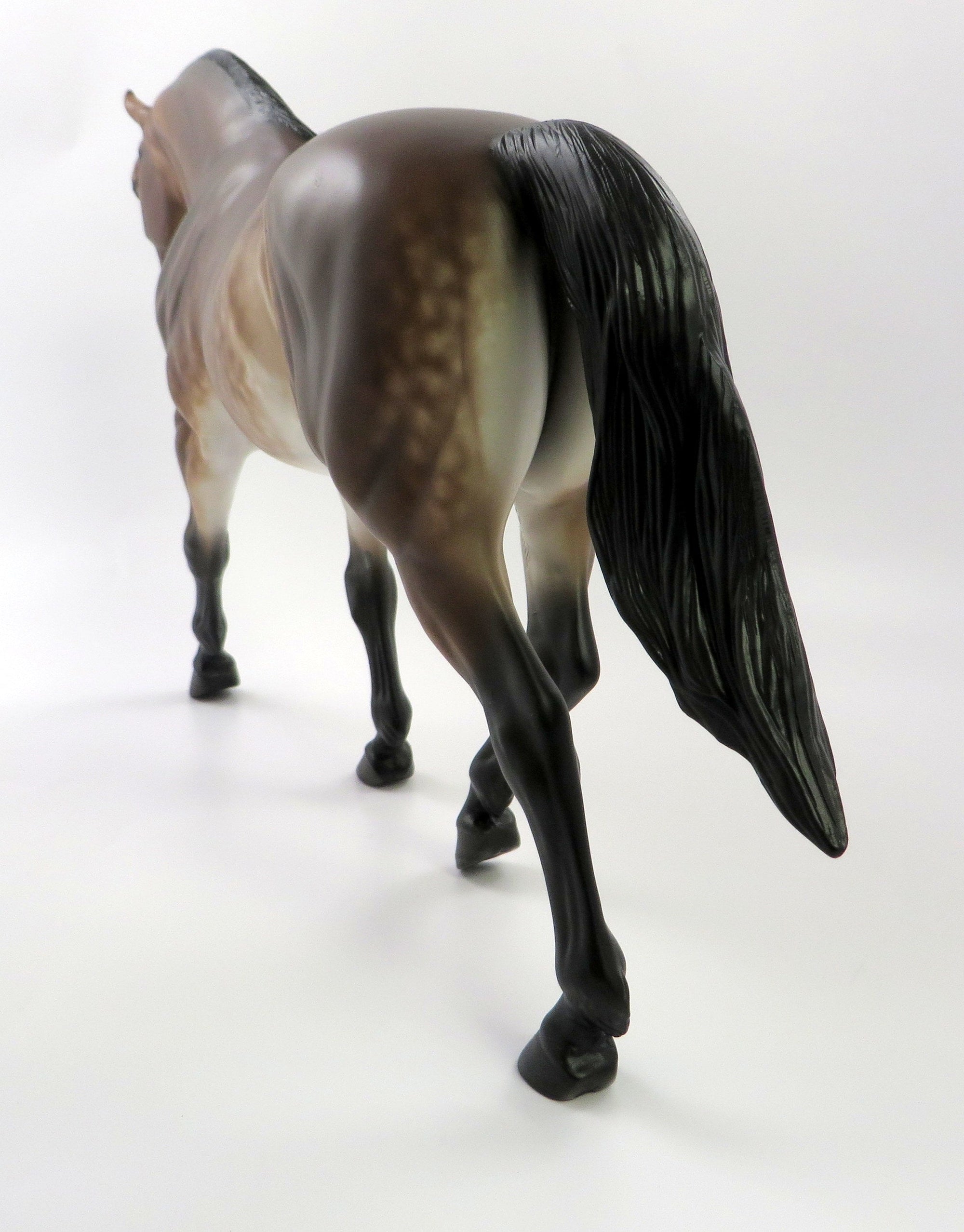 DONUT PARTY-OOAK MEALY STAR DAPPLE BAY IRISH DRAFT BY SHERYL LEISURE SHCF 19