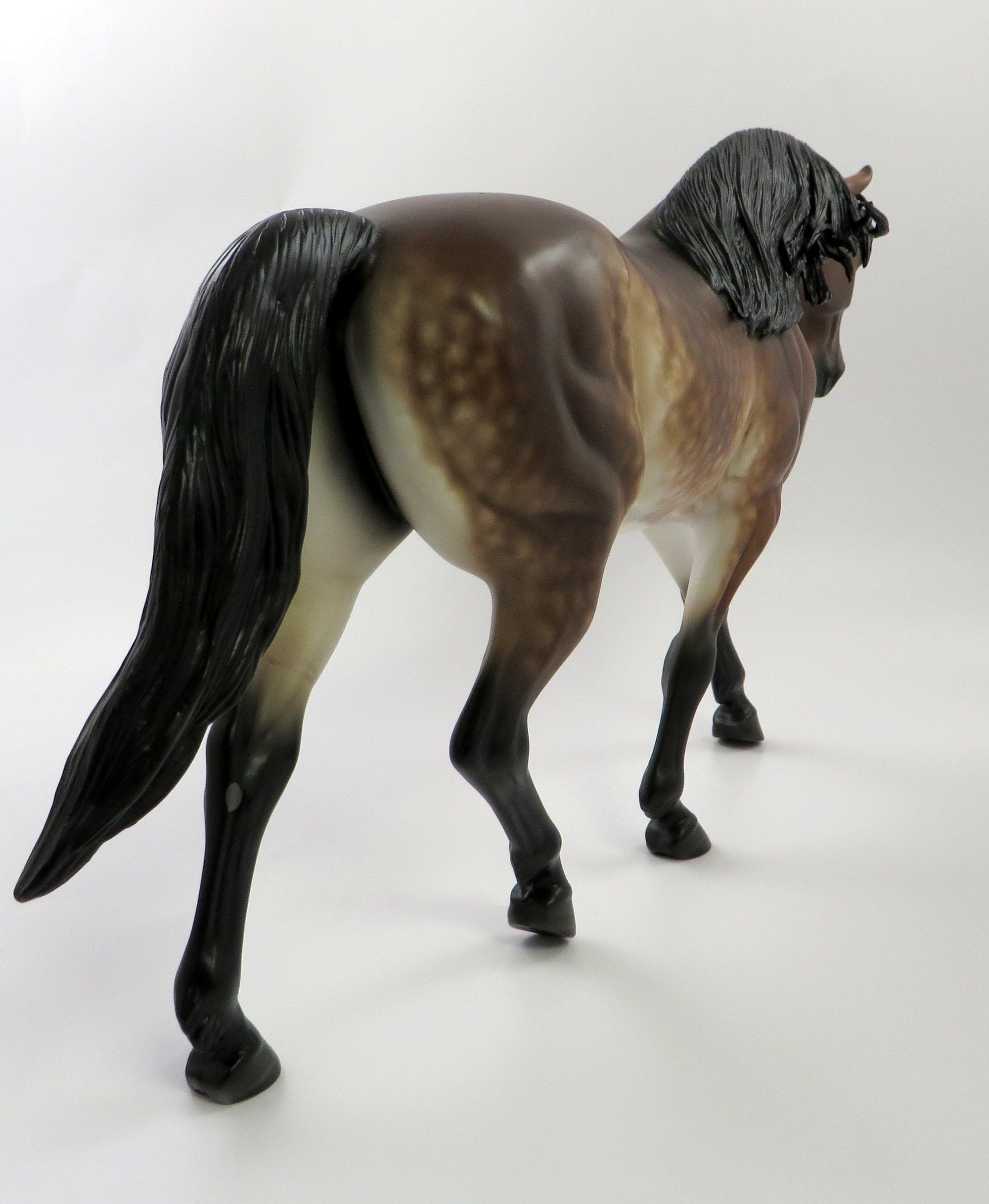 DONUT PARTY-OOAK MEALY STAR DAPPLE BAY IRISH DRAFT BY SHERYL LEISURE SHCF 19