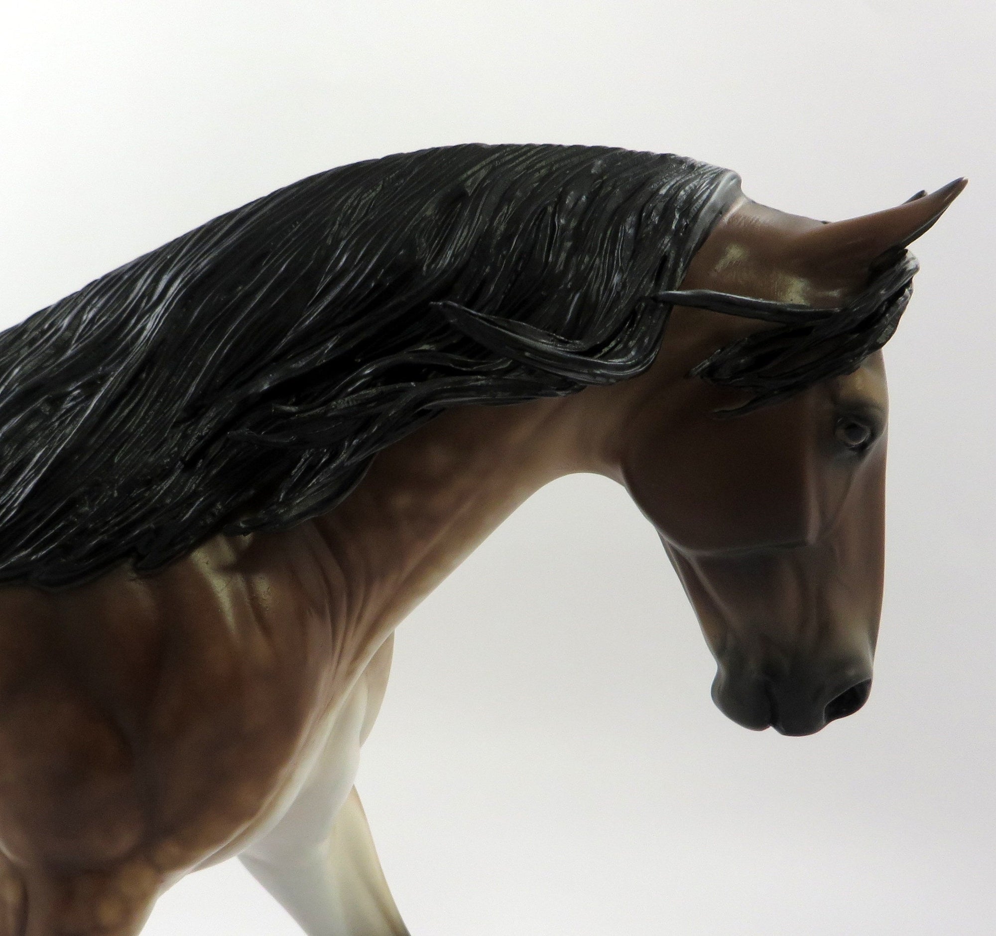 DONUT PARTY-OOAK MEALY STAR DAPPLE BAY IRISH DRAFT BY SHERYL LEISURE SHCF 19