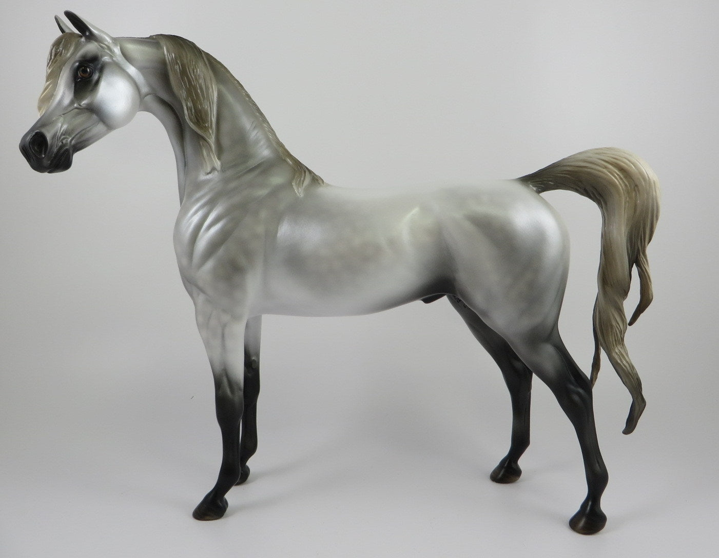 SILVER GHOST -OOAK  DAPPLE GREY ARABIAN MODEL HORSE BY MISSY FOX 7/18/19